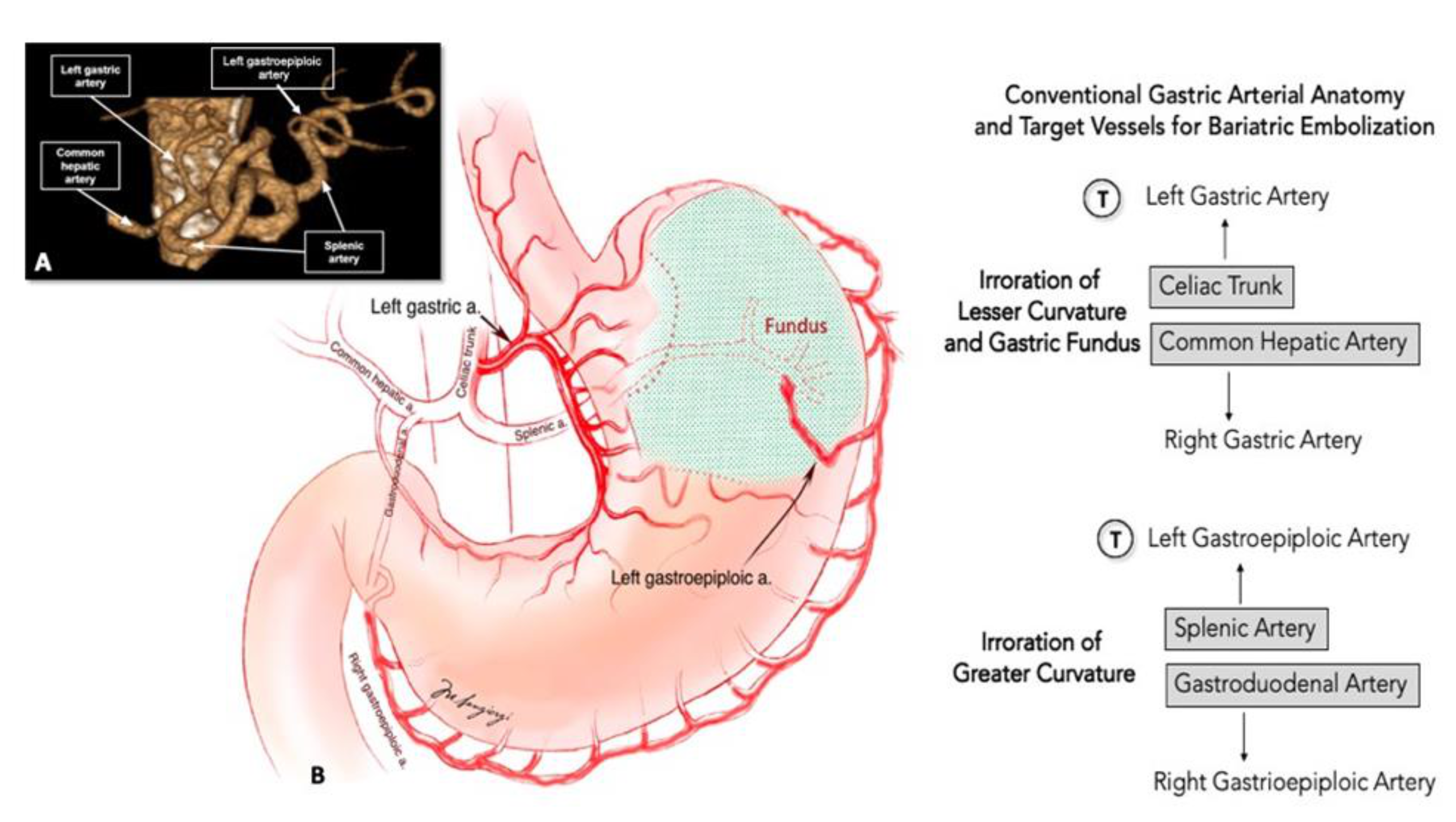 Nutrients 13 02541 g003 Nutrients 13 02541 g003