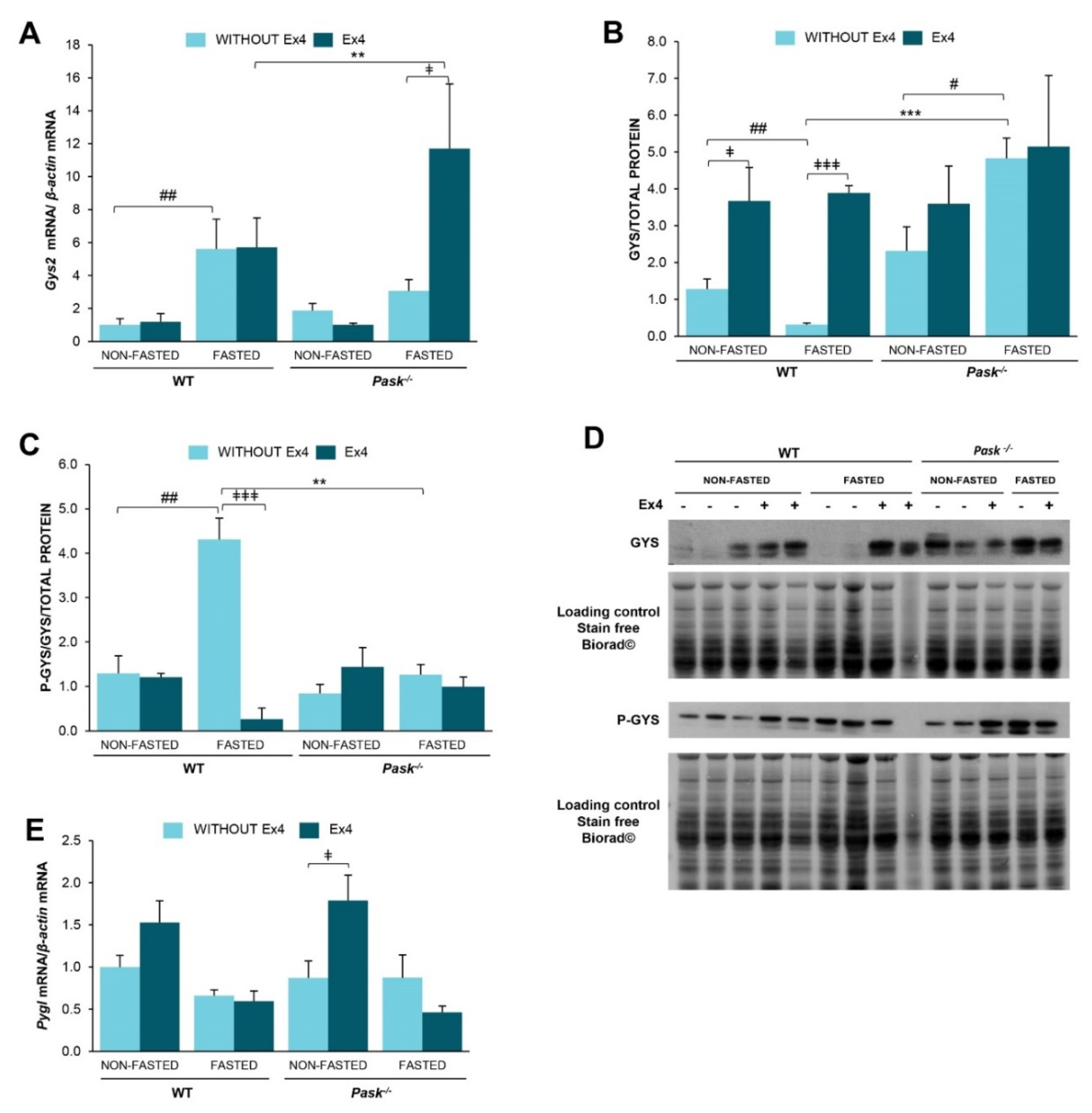 Nutrients 13 02552 g005 Nutrients 13 02552 g005