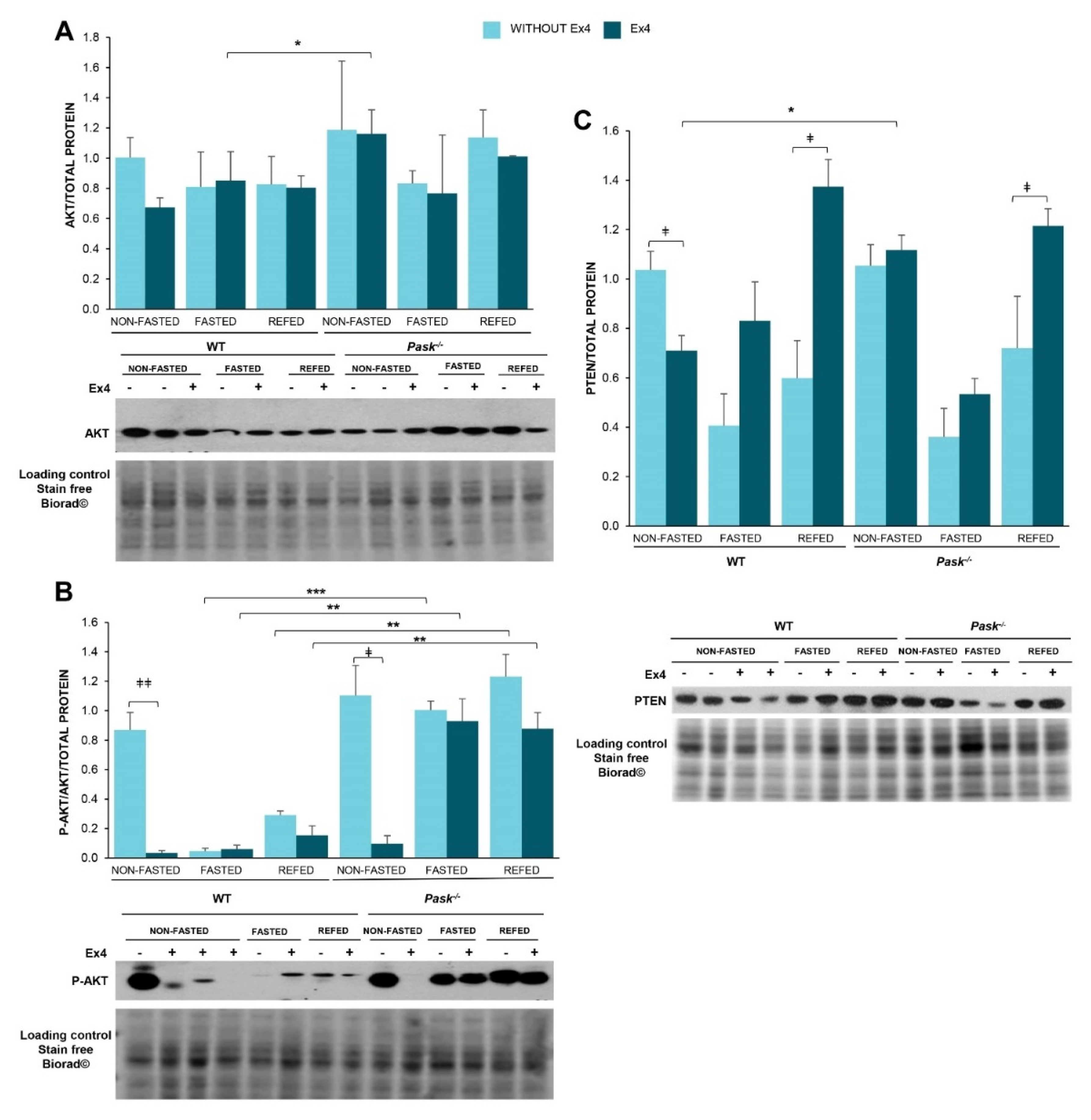Nutrients 13 02552 g006 Nutrients 13 02552 g006