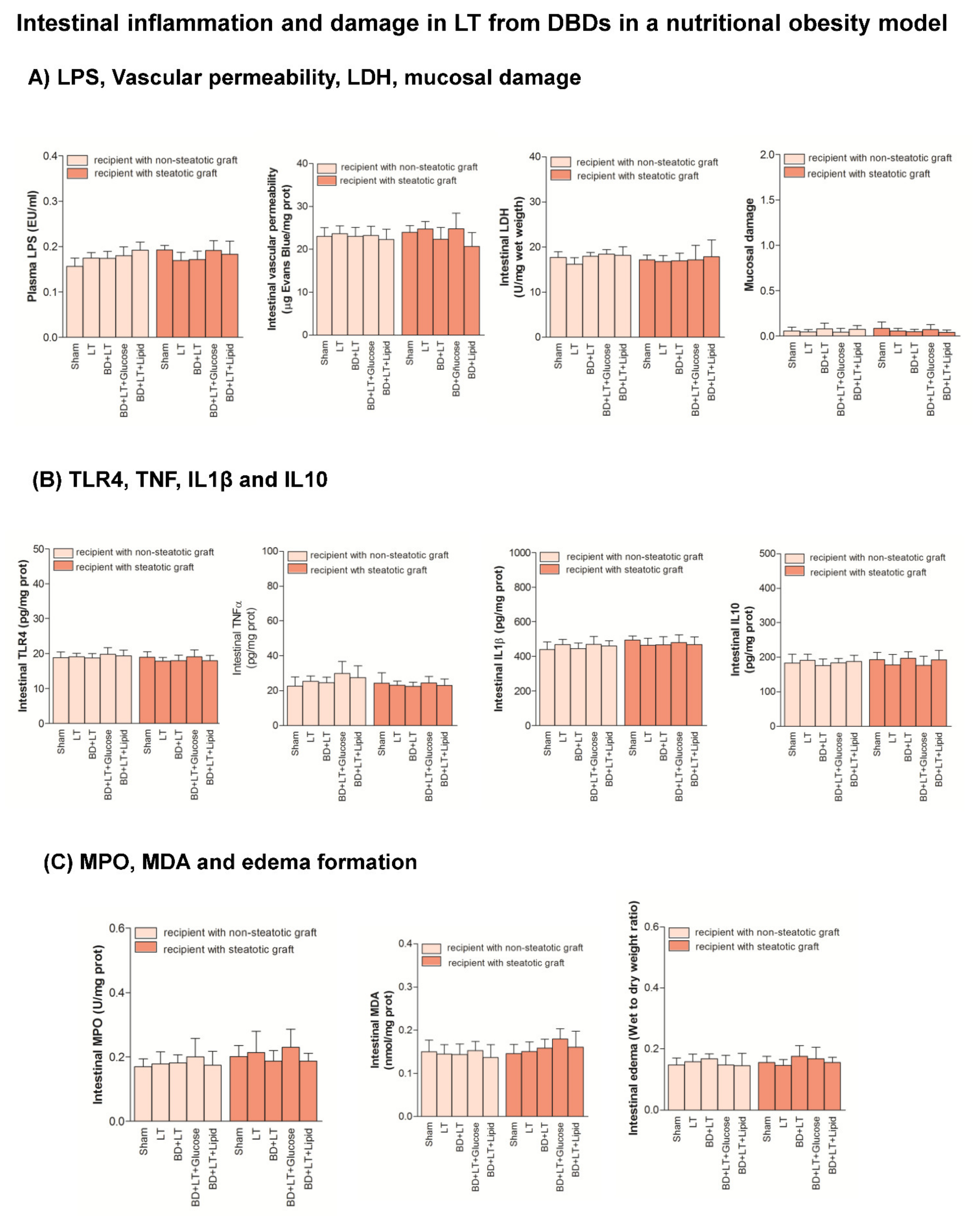 Nutrients 13 02554 g008