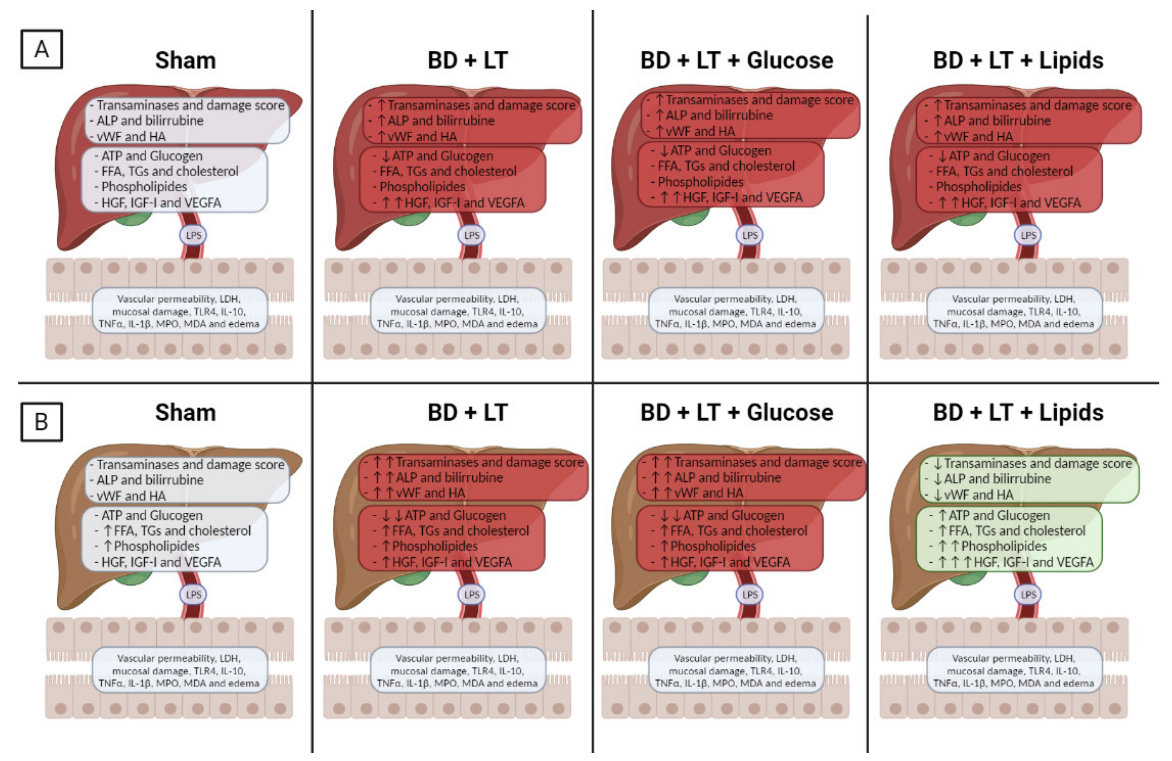 Nutrients 13 02554 g009