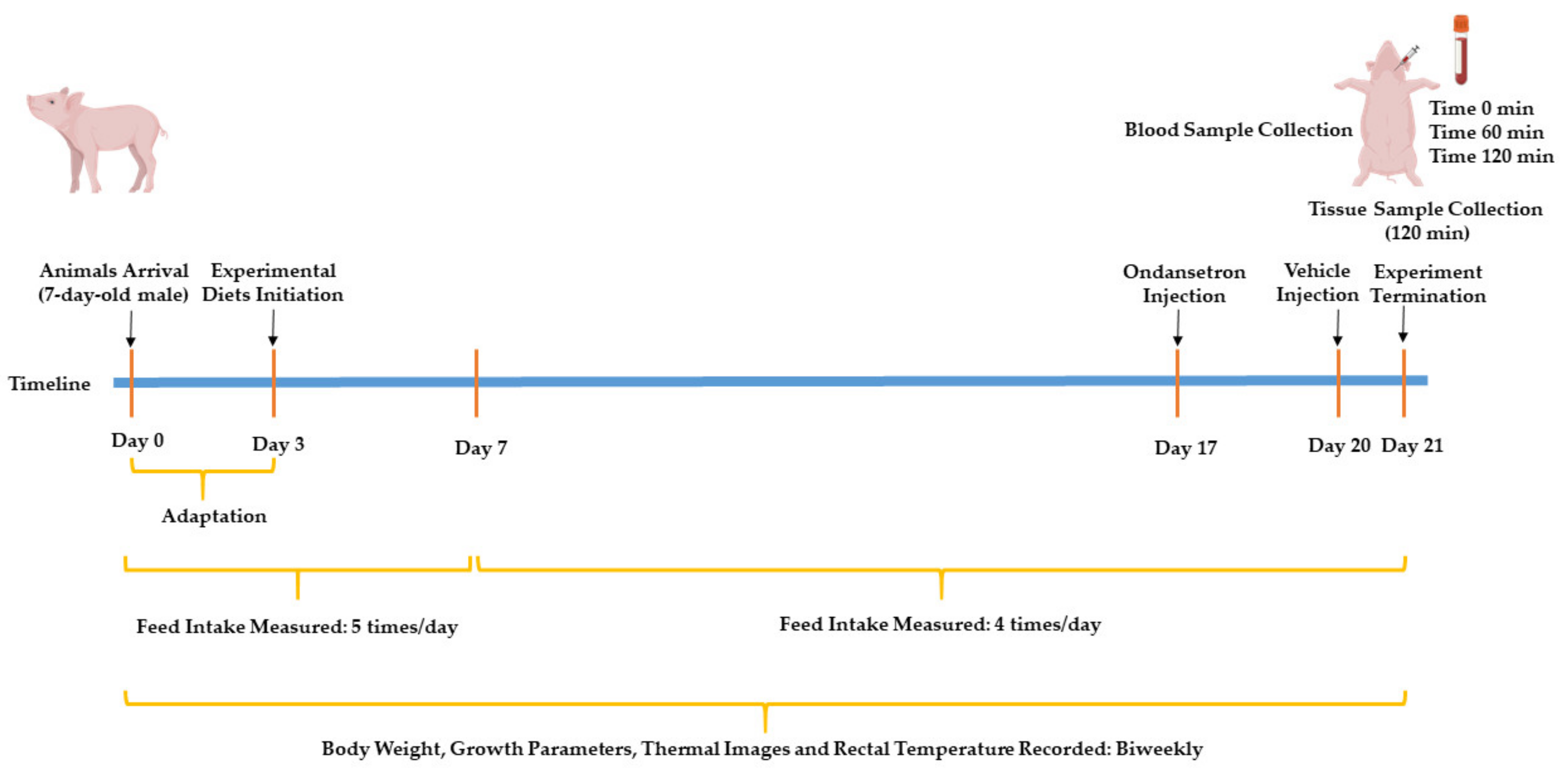 Nutrients 13 02561 g001 Nutrients 13 02561 g001