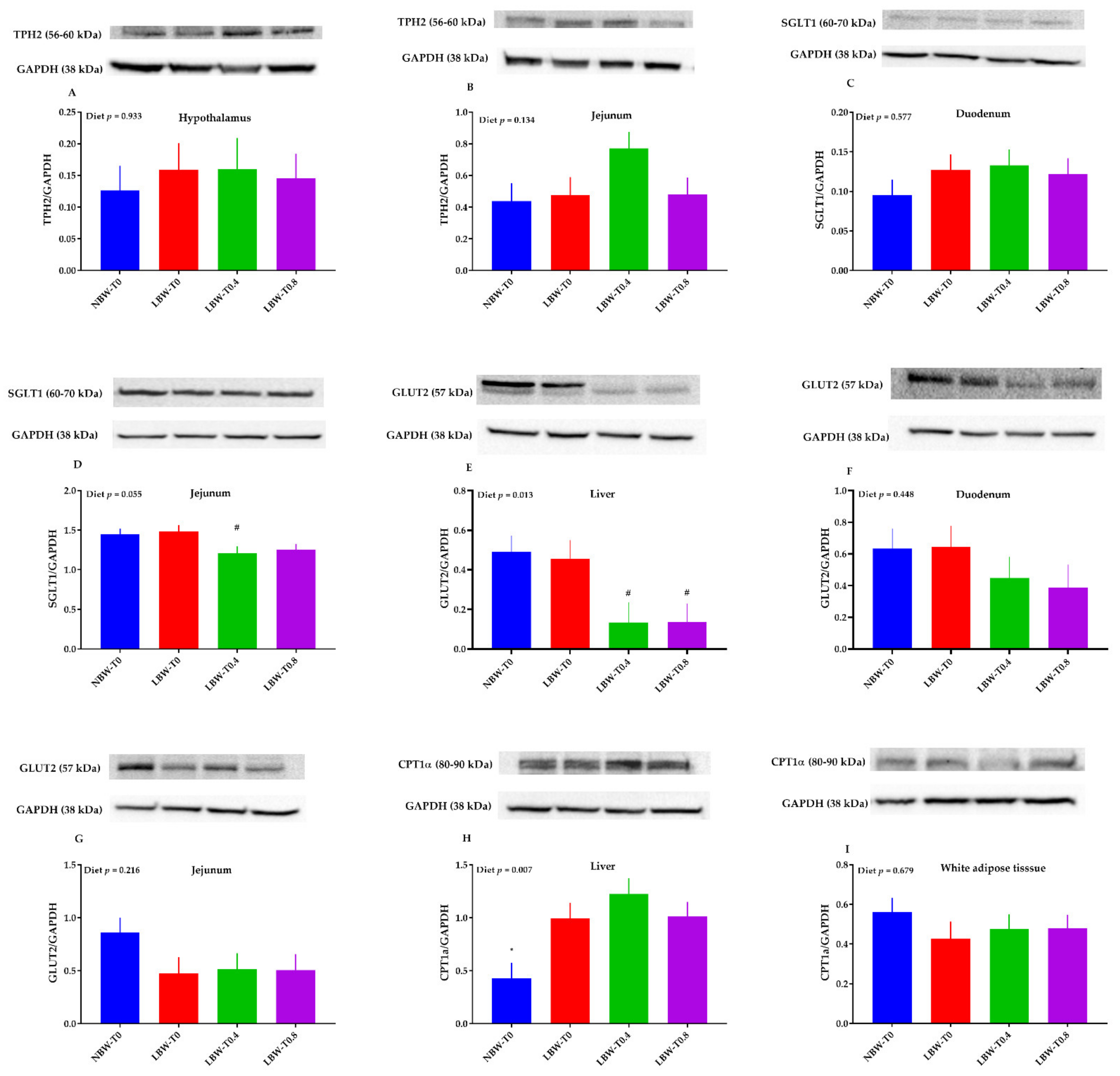 Nutrients 13 02561 g008 Nutrients 13 02561 g008