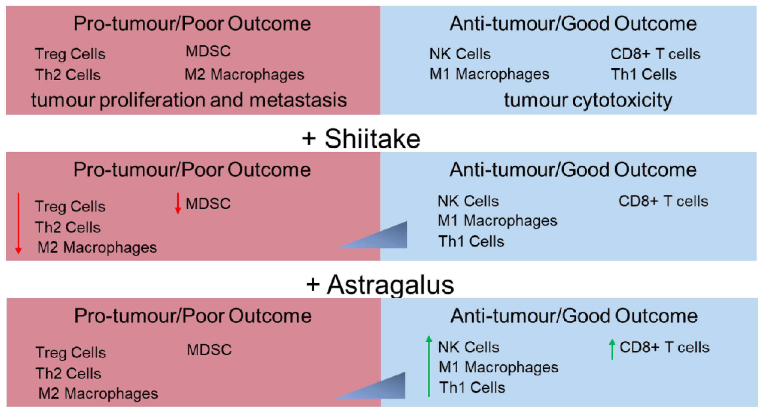 Nutrients 13 02564 g002