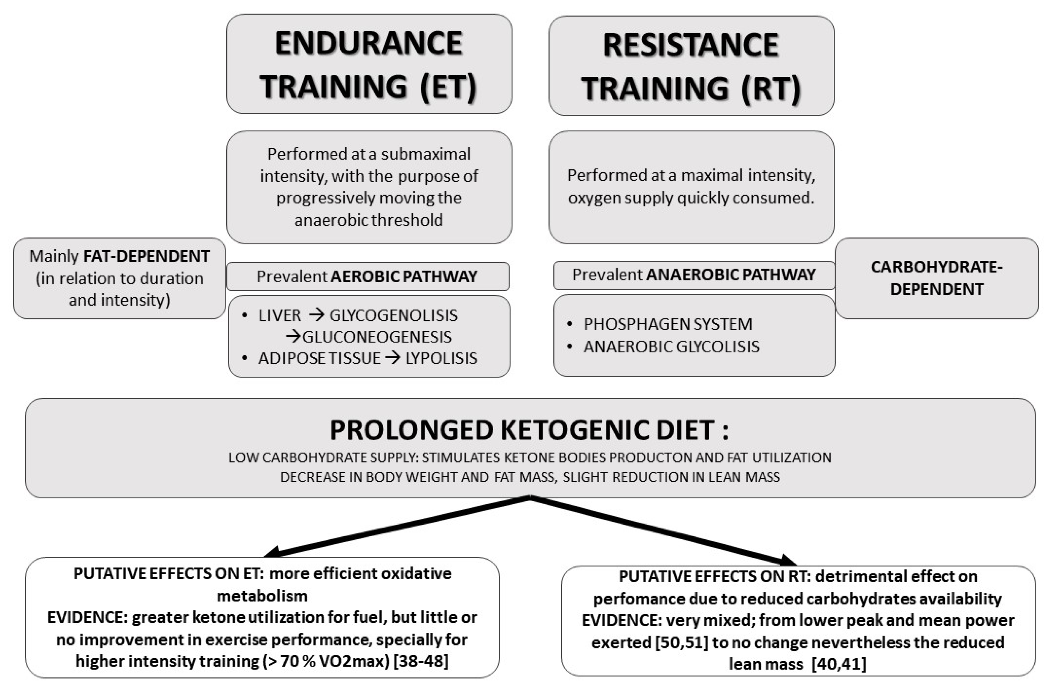 Nutrients 13 02567 g001 550