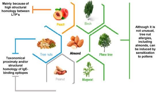 Nutrients 13 02578 g002 550