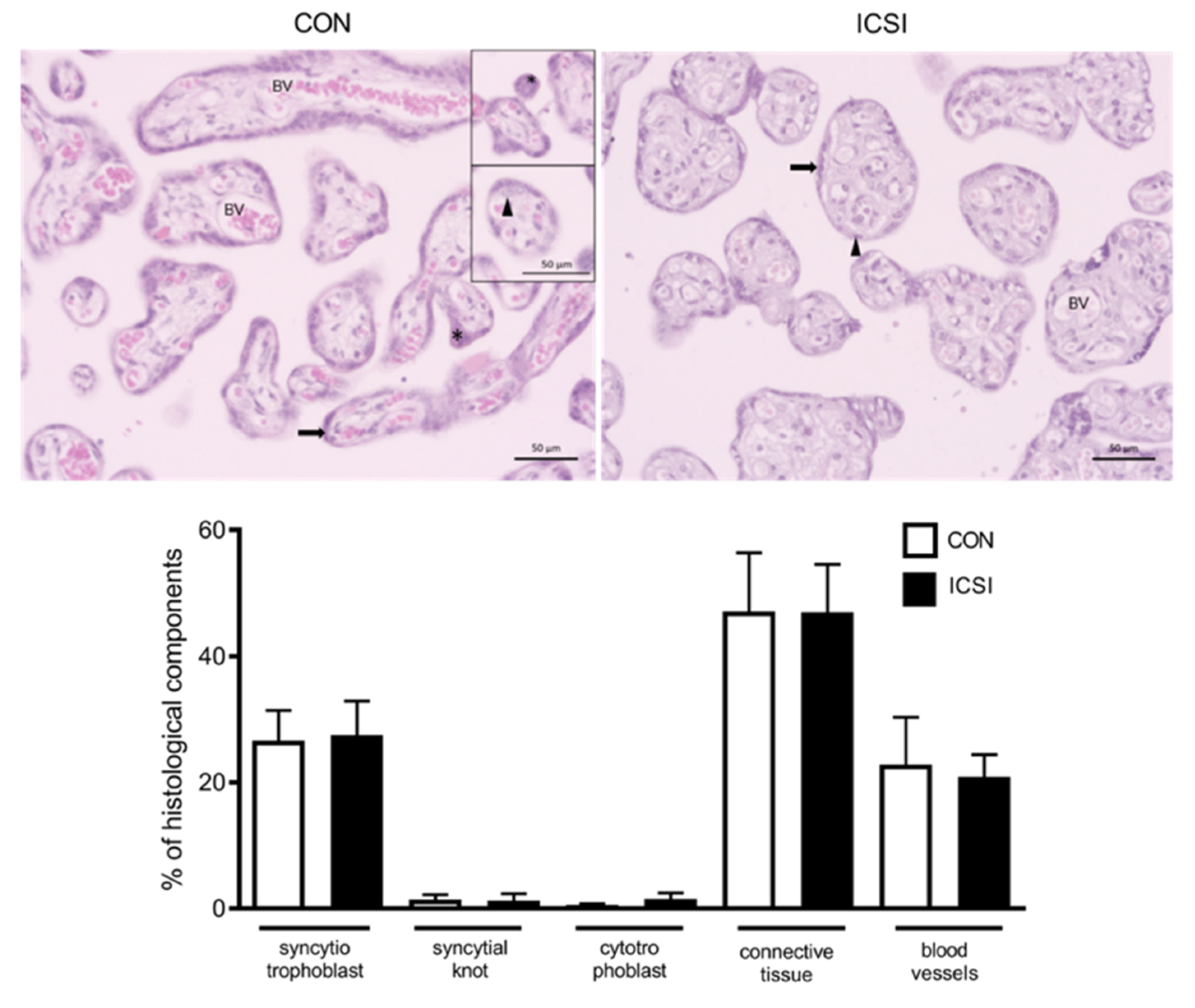 Nutrients 13 02587 g005 Nutrients 13 02587 g005