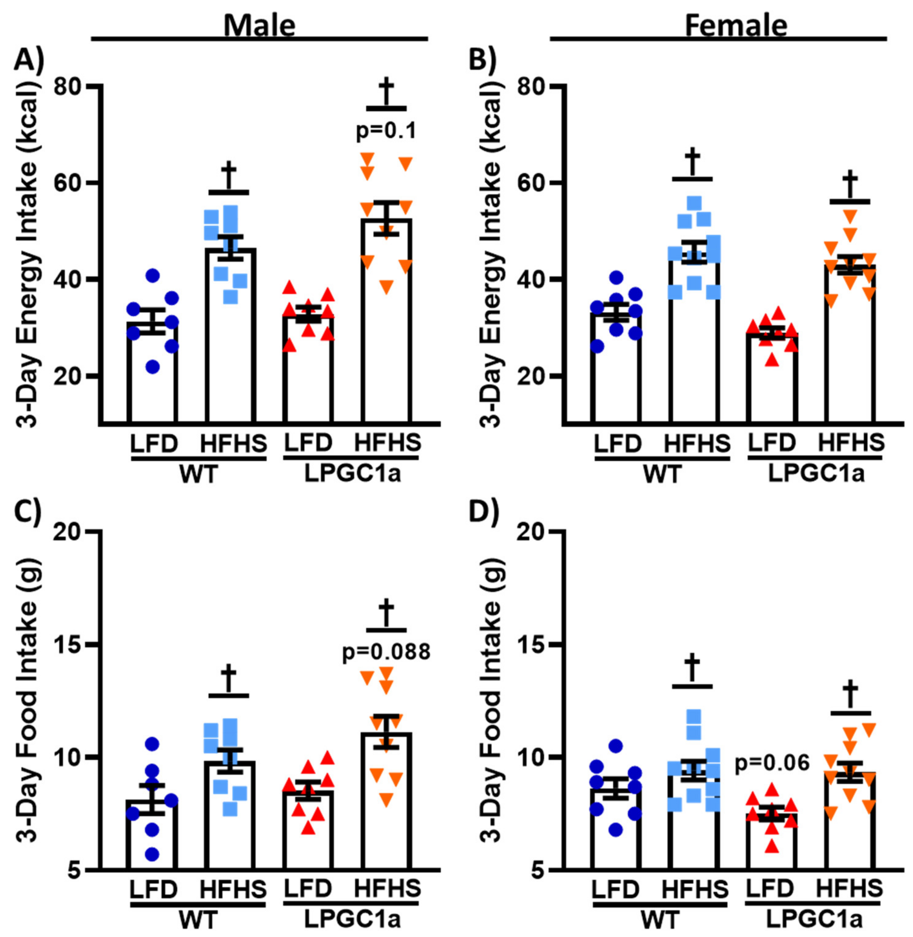 Nutrients 13 02596 g003 Nutrients 13 02596 g003