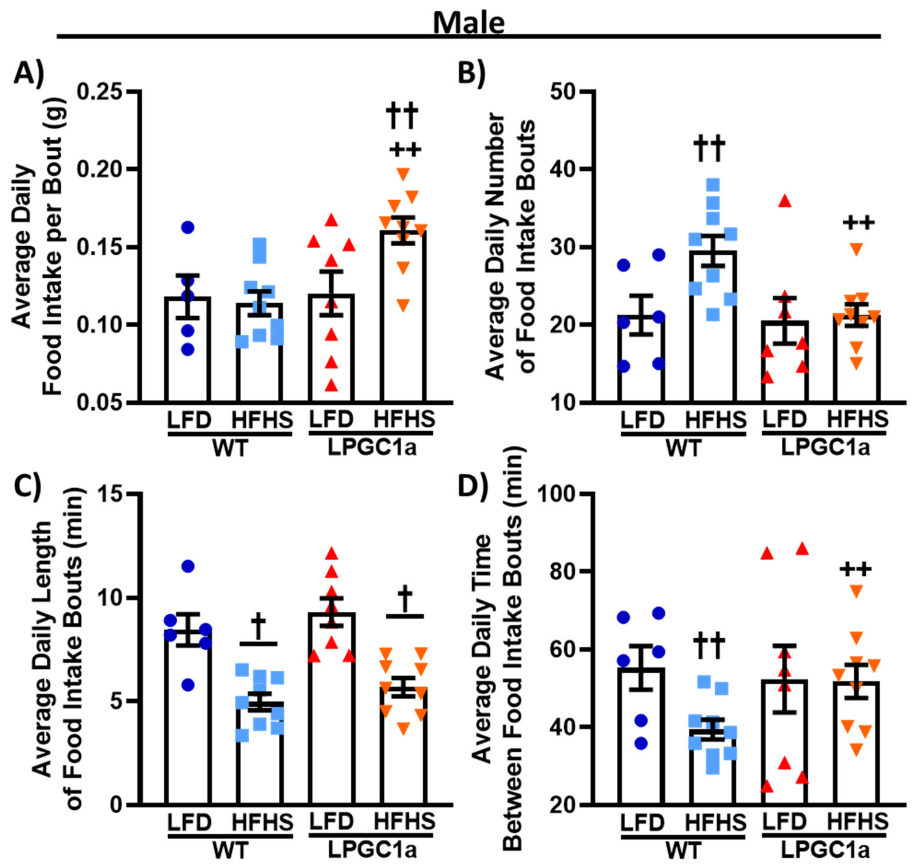 Nutrients 13 02596 g004 Nutrients 13 02596 g004