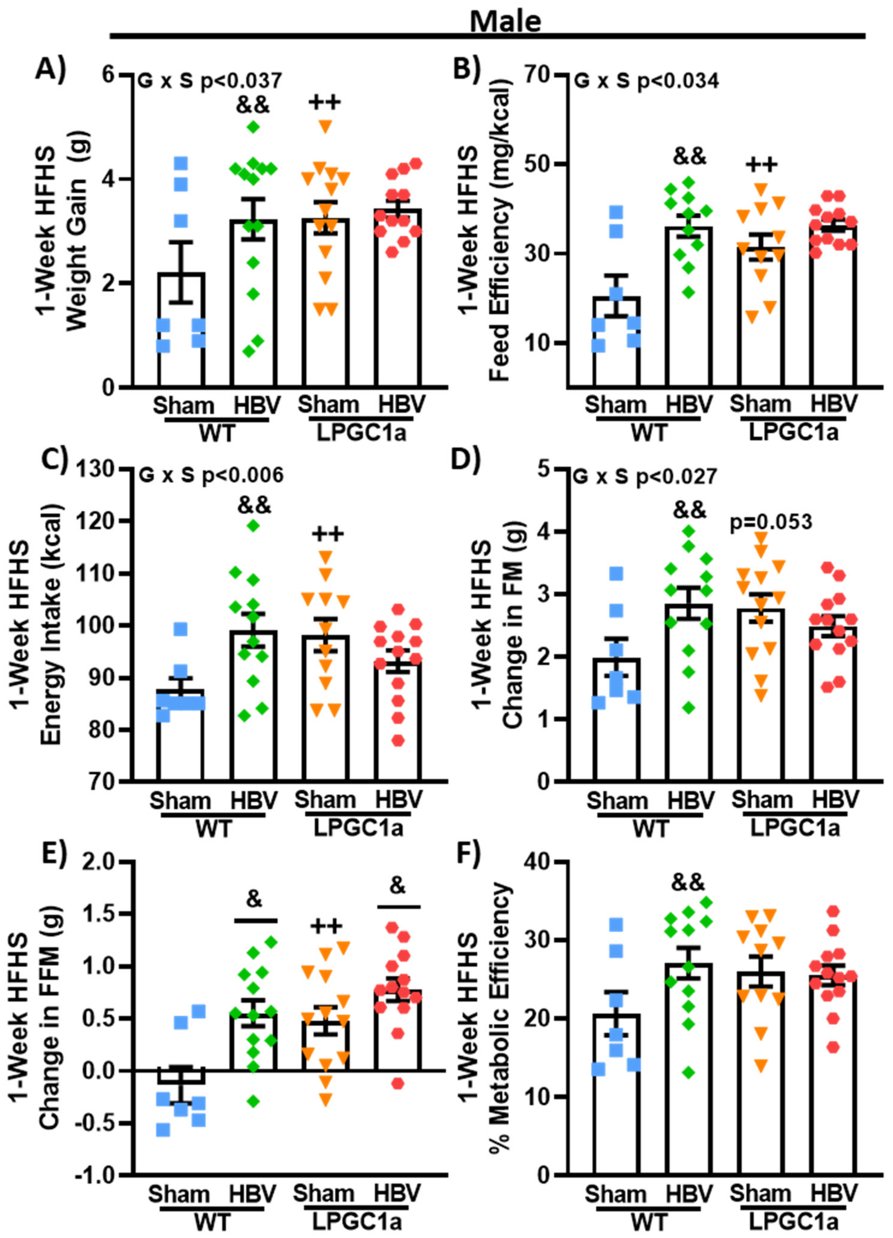 Nutrients 13 02596 g007 Nutrients 13 02596 g007