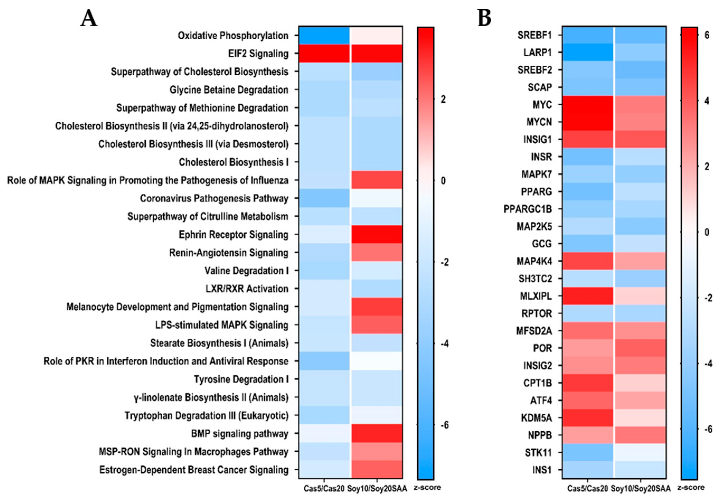 Nutrients 13 02609 g003
