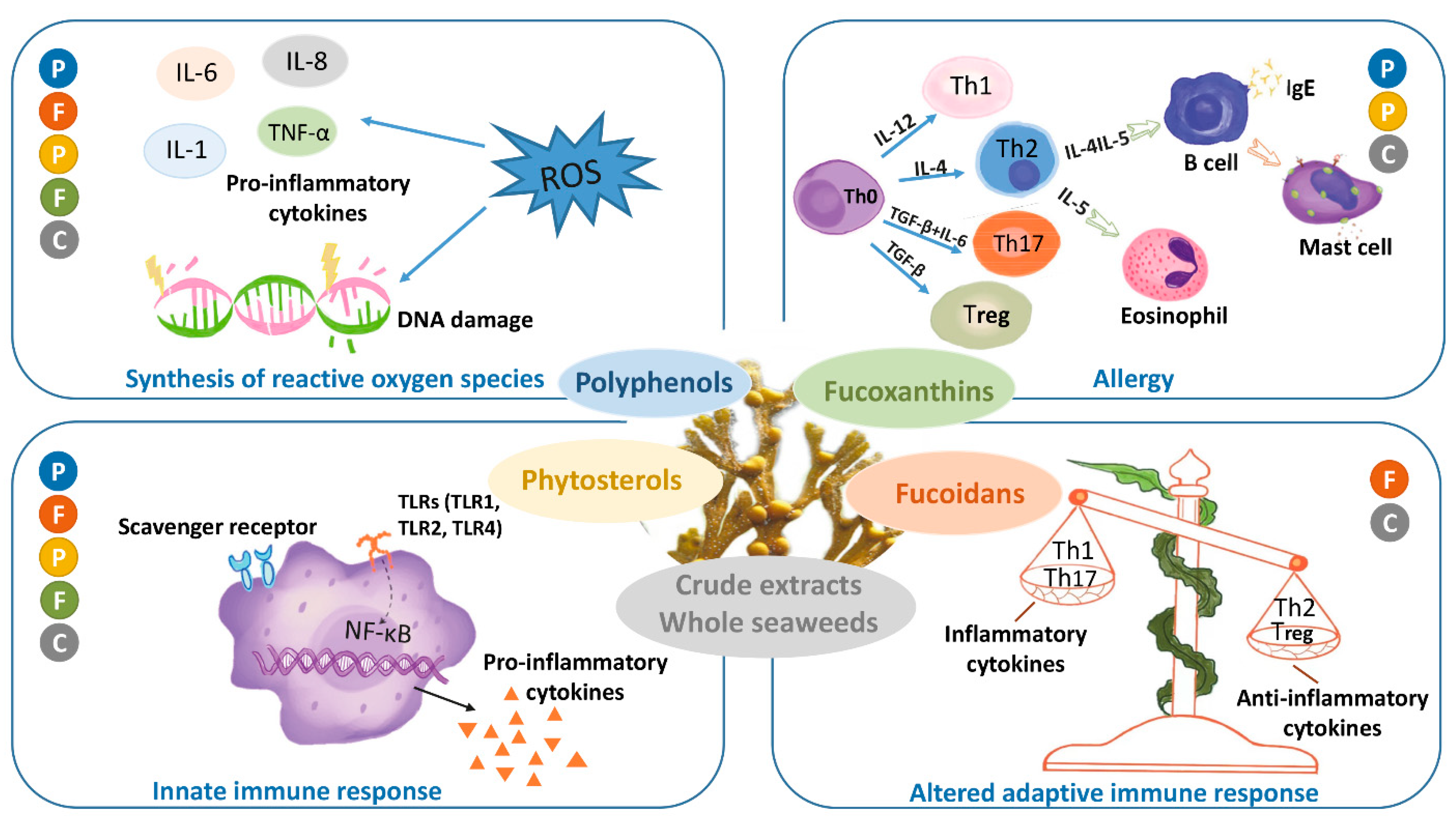 Nutrients 13 02613 g002