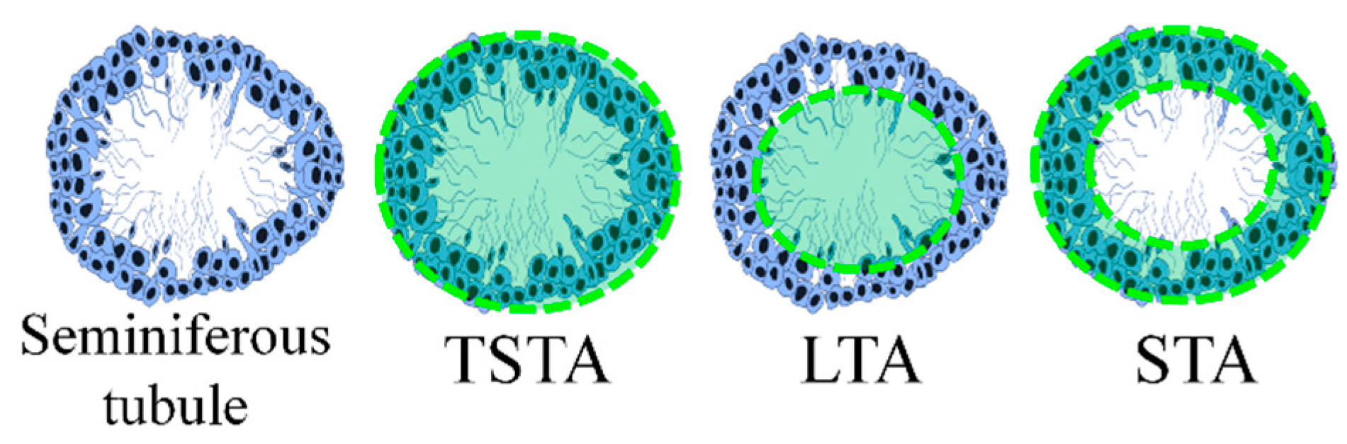 Nutrients 13 02616 g002 550