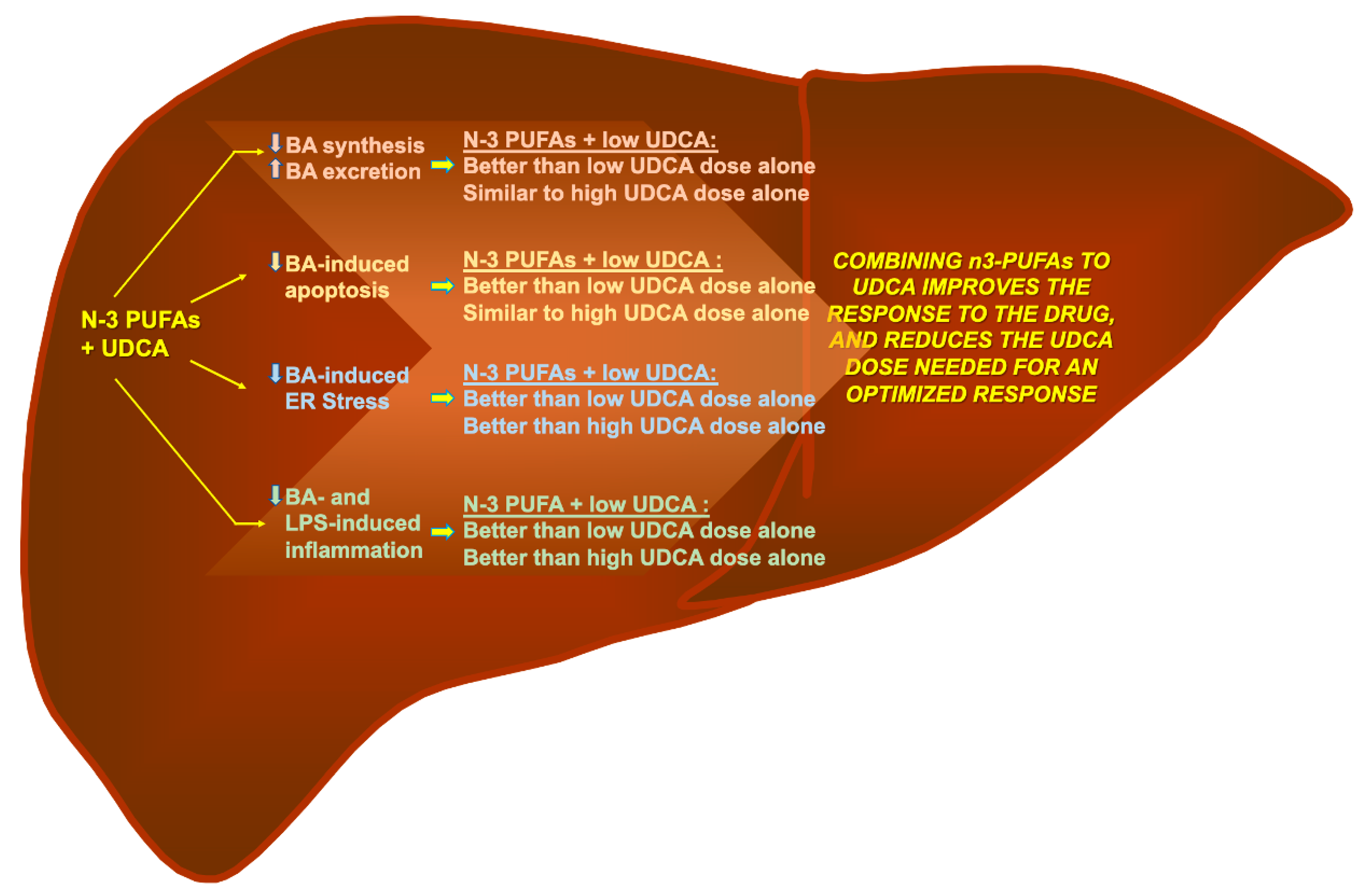 Nutrients 13 02617 g006