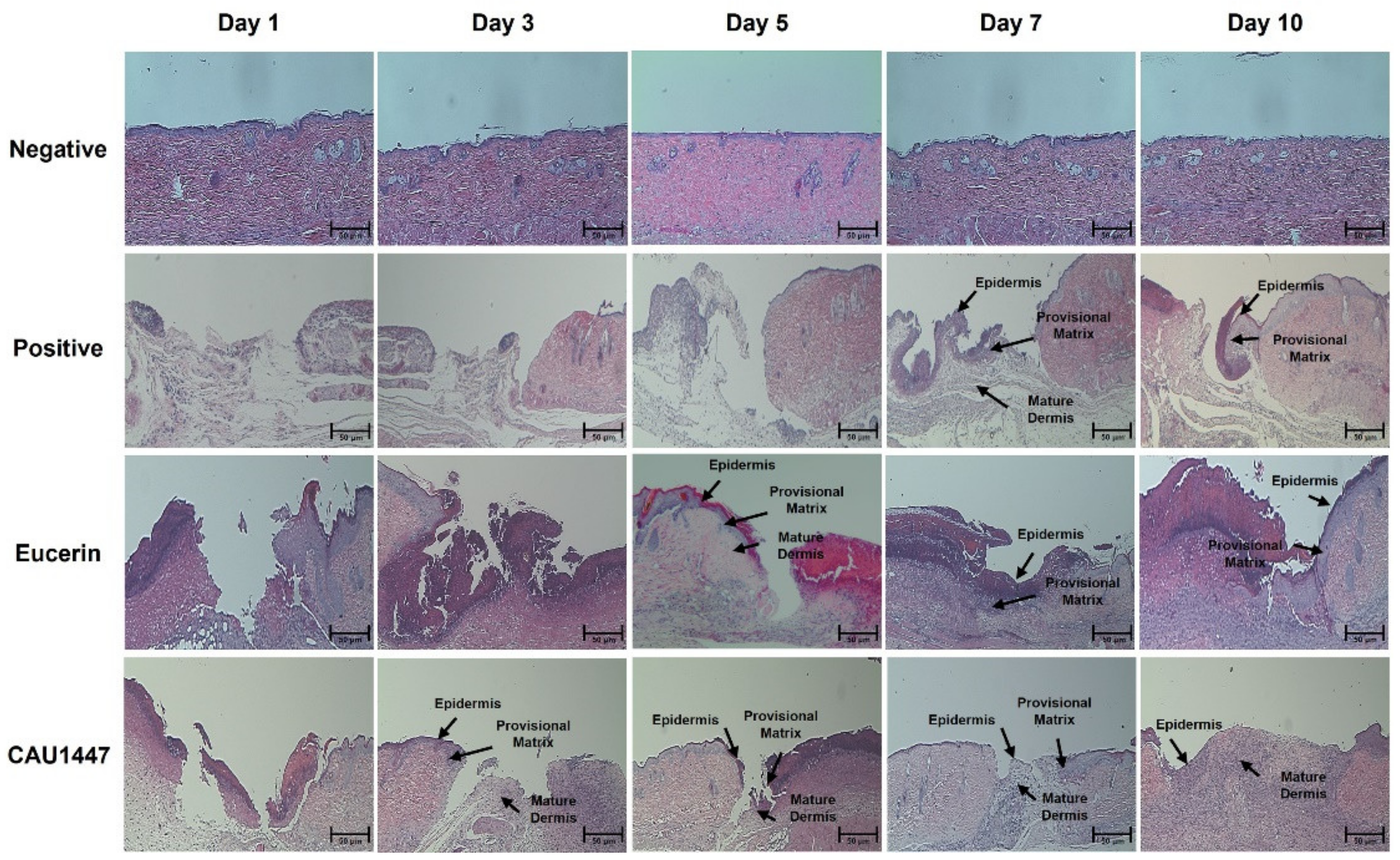 Nutrients 13 02666 g002 Nutrients 13 02666 g002