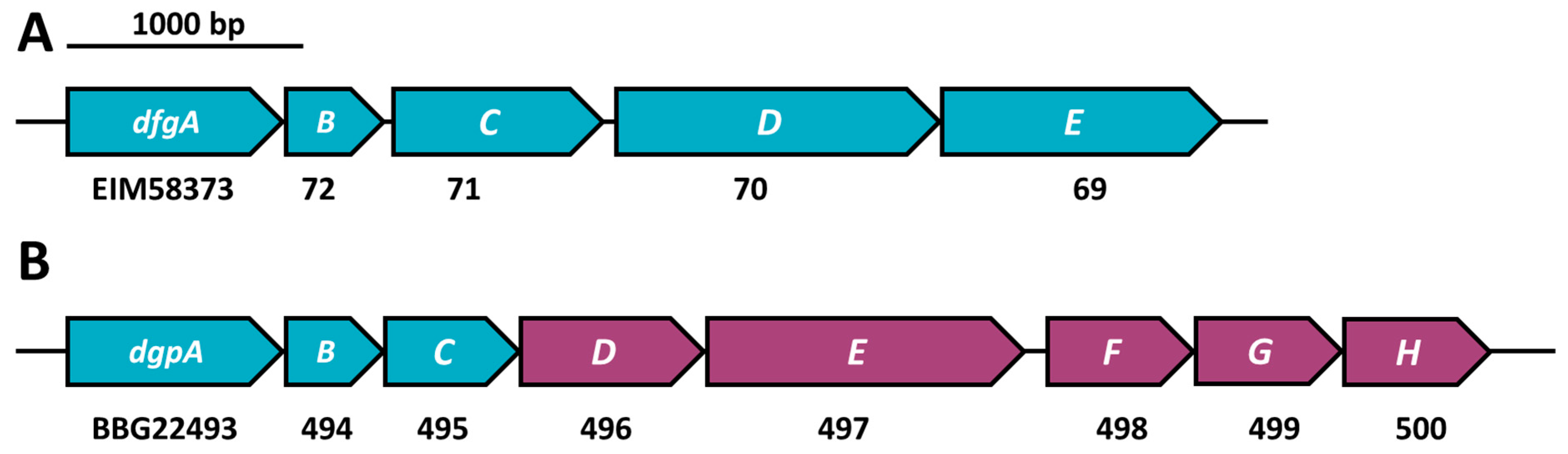 Nutrients 13 02688 g003 Nutrients 13 02688 g003