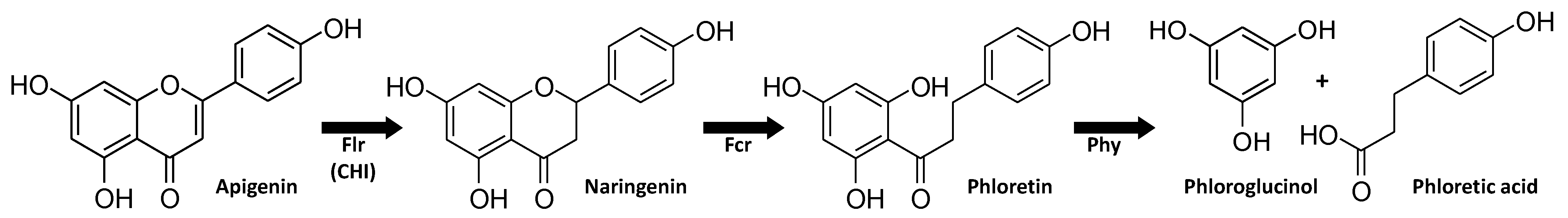 Nutrients 13 02688 g006 Nutrients 13 02688 g006