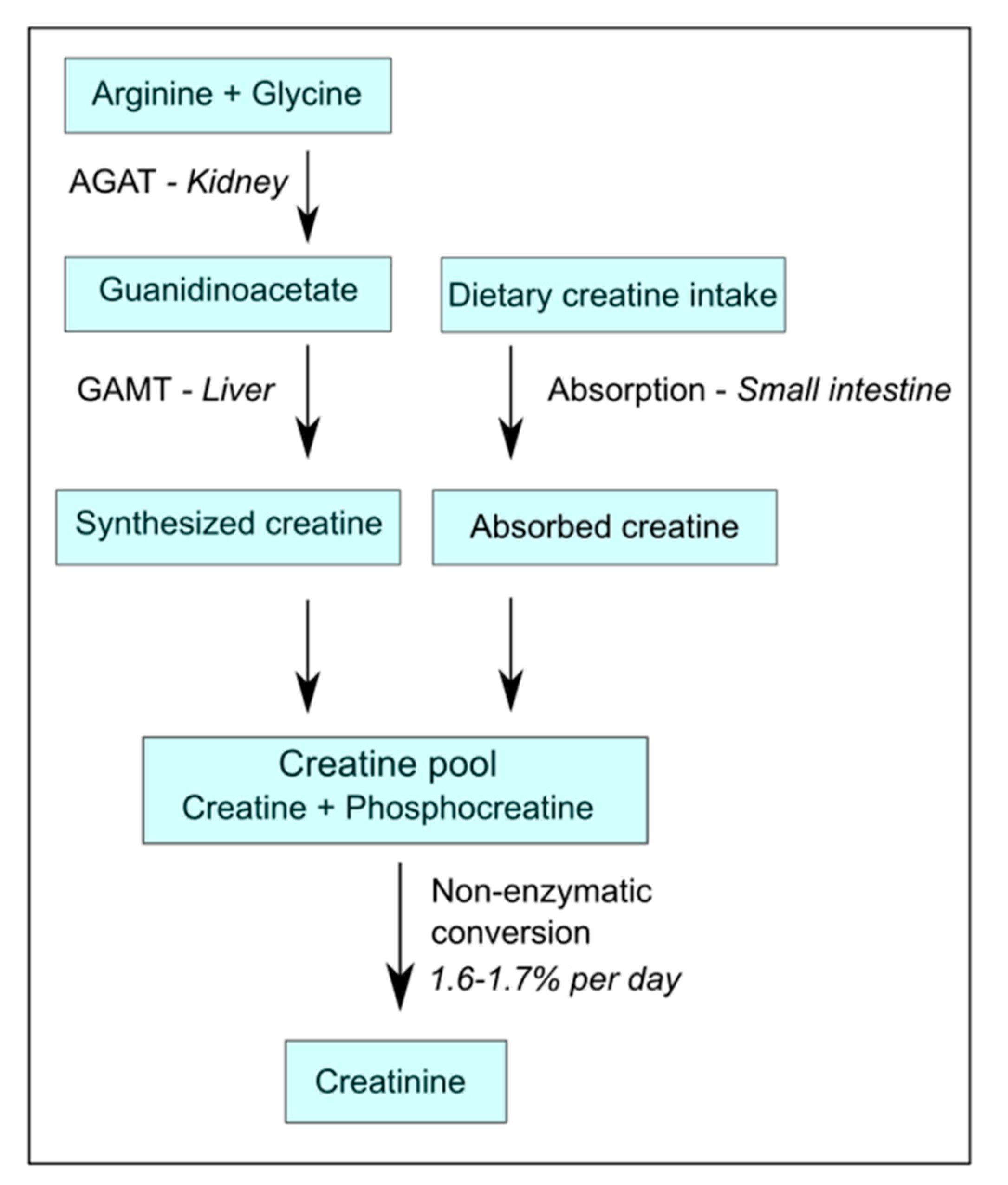 Nutrients 13 02709 g001