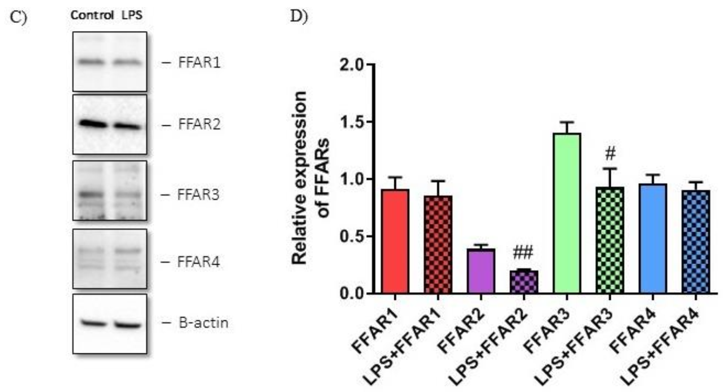 Nutrients 13 02716 g001b 550