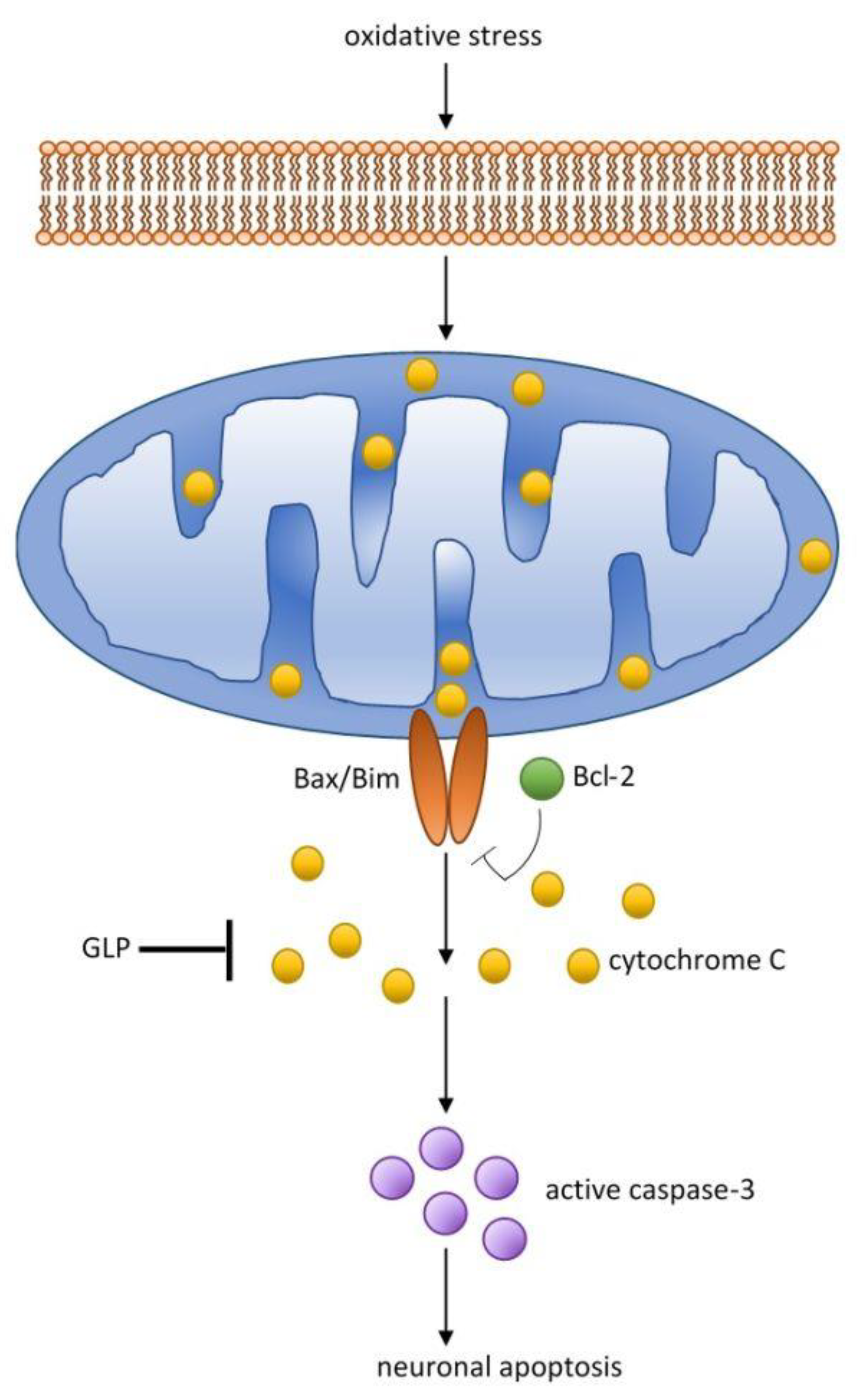 Nutrients 13 02725 g004