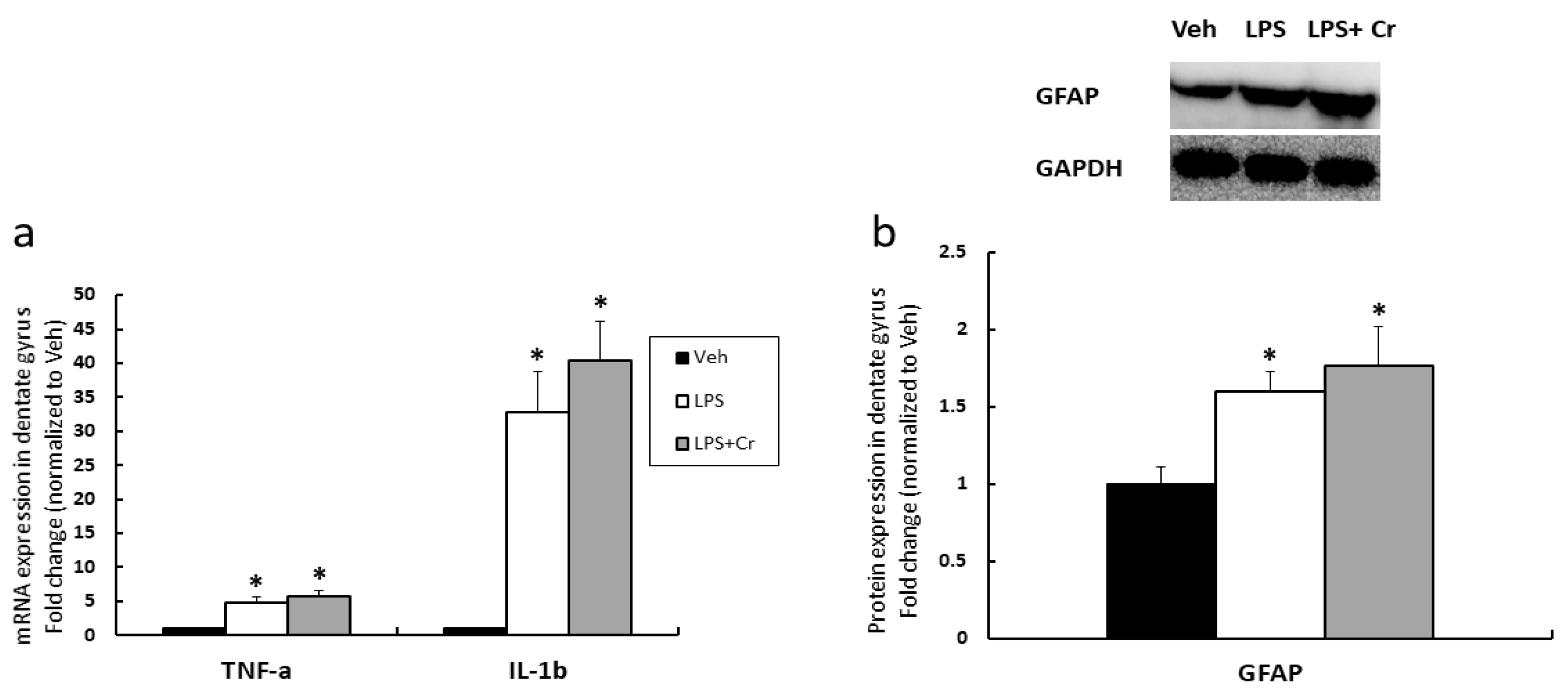 Nutrients 13 02758 g002