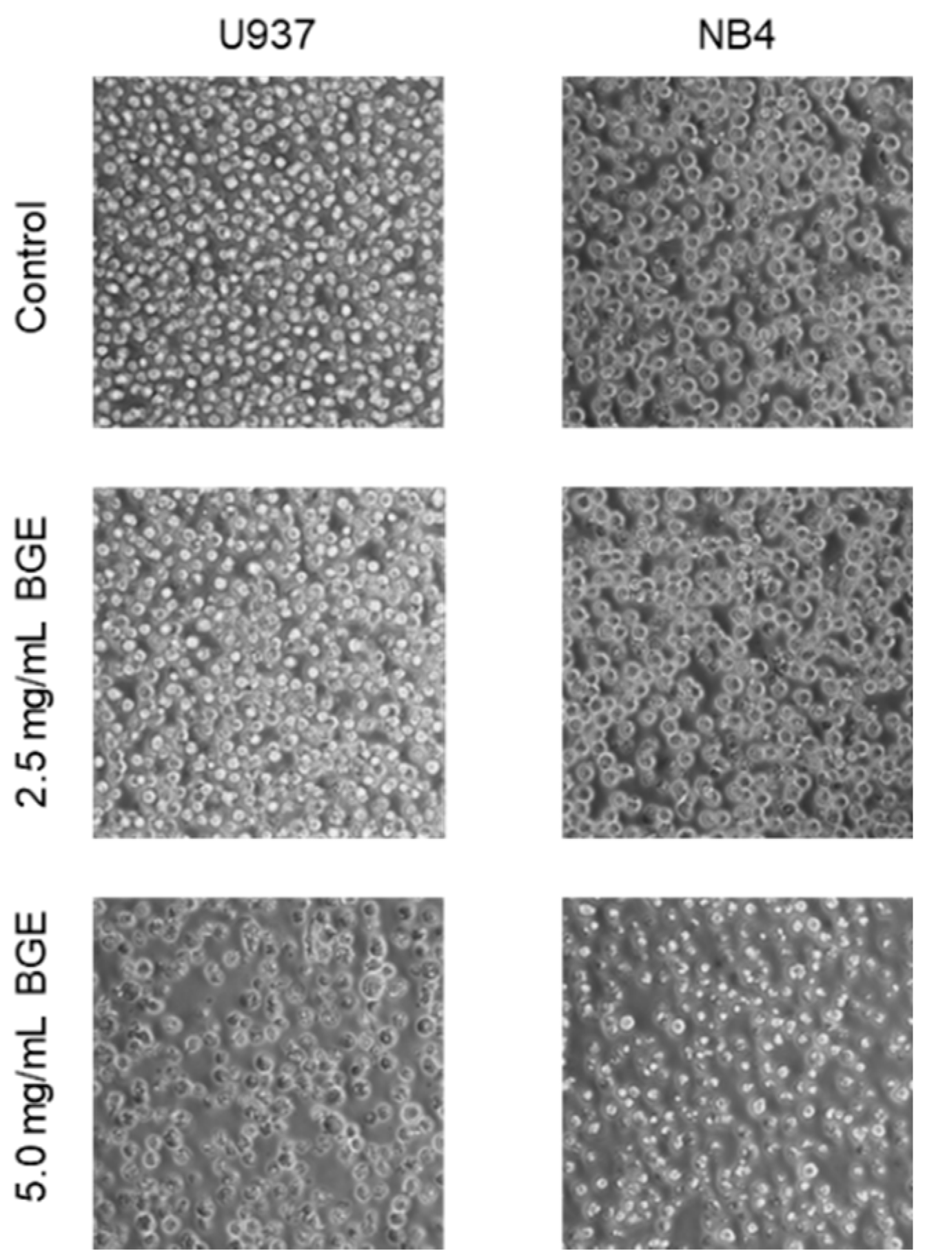 Nutrients 13 02771 g004