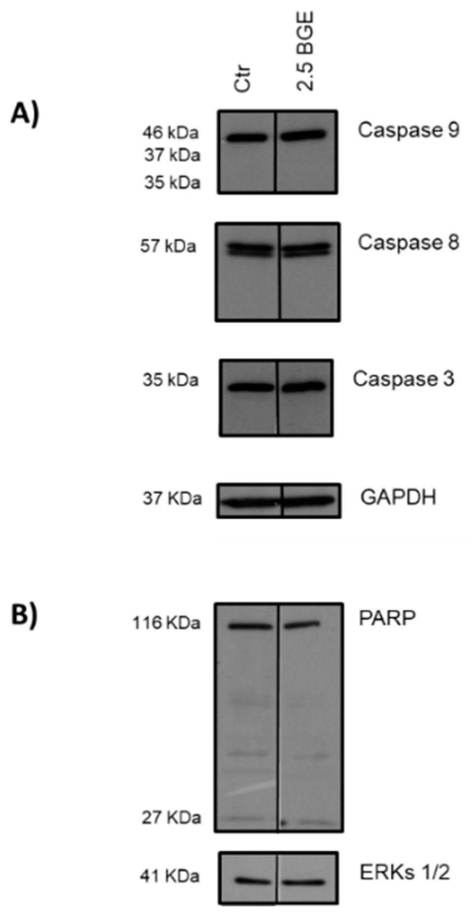 Nutrients 13 02771 g005