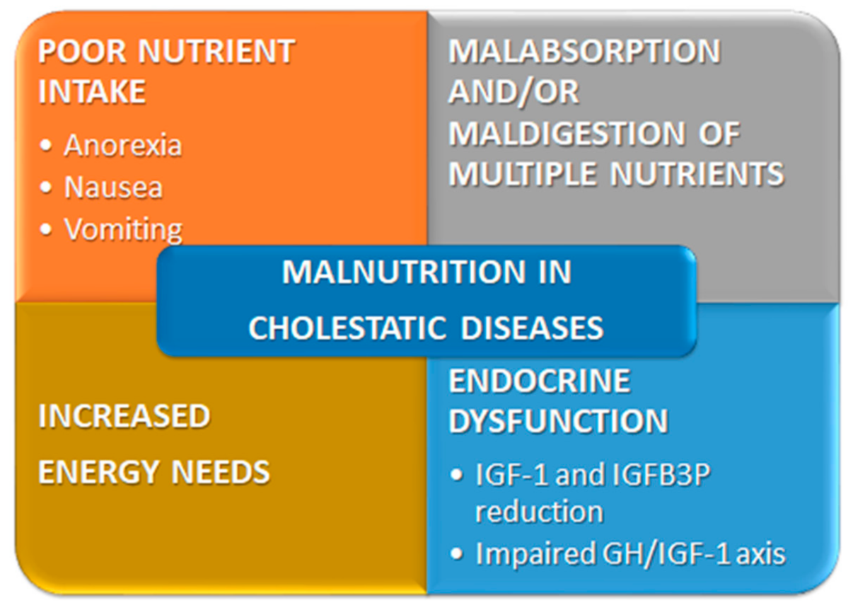 Nutrients 13 02785 g003