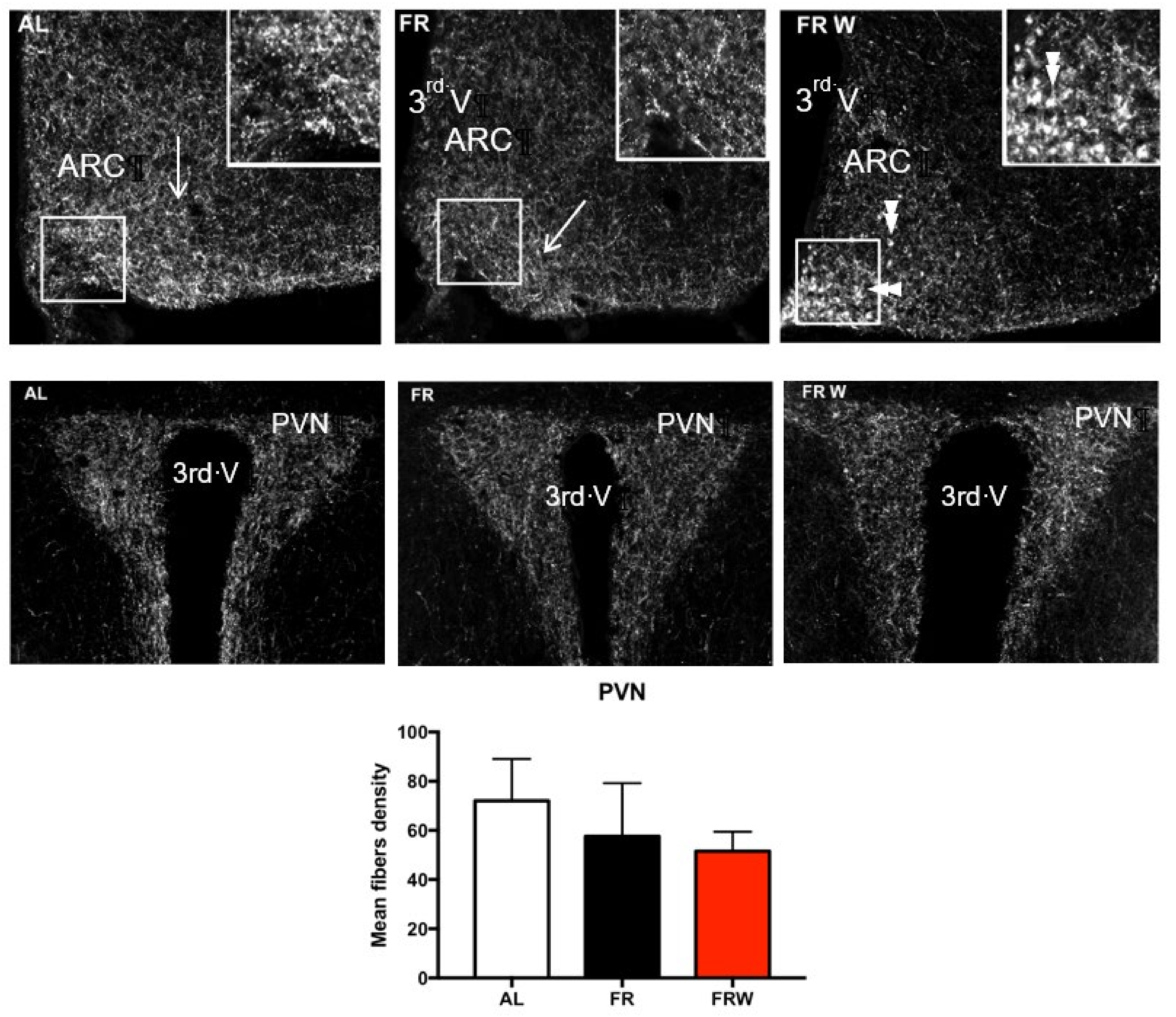 Nutrients 13 02786 g004