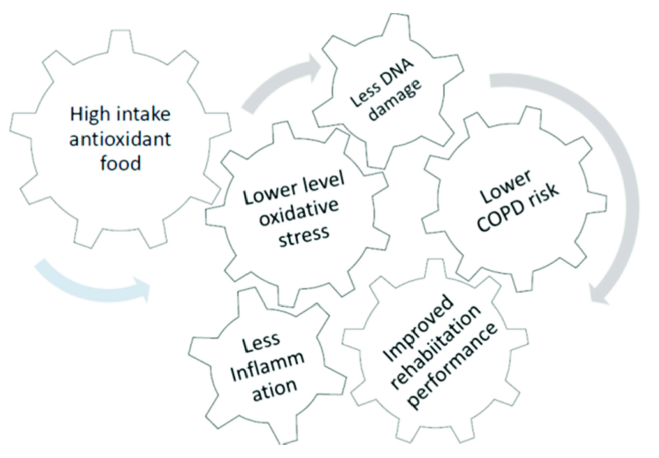 Nutrients 13 02787 g001 Nutrients 13 02787 g001