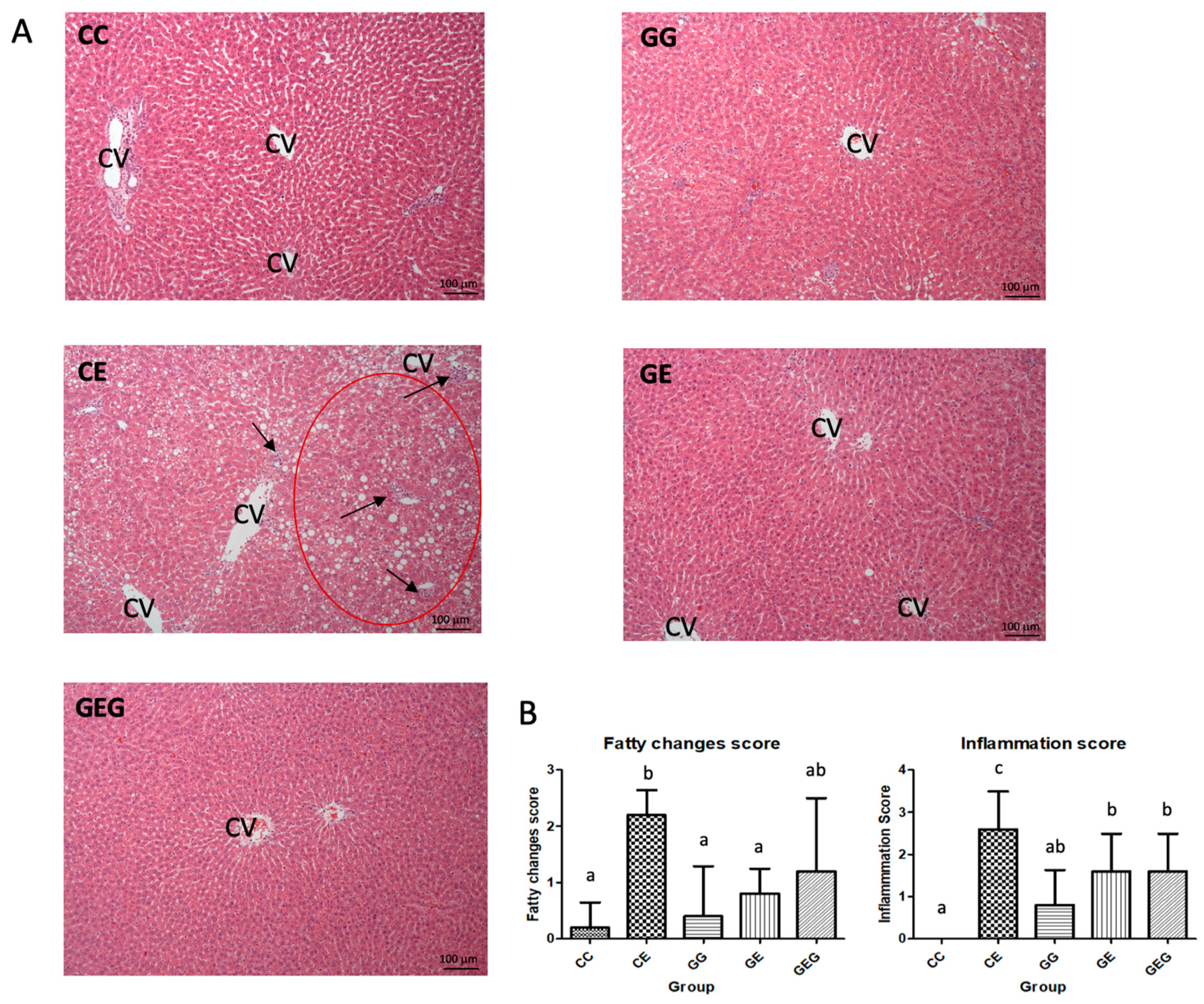 Nutrients 13 02788 g001 550