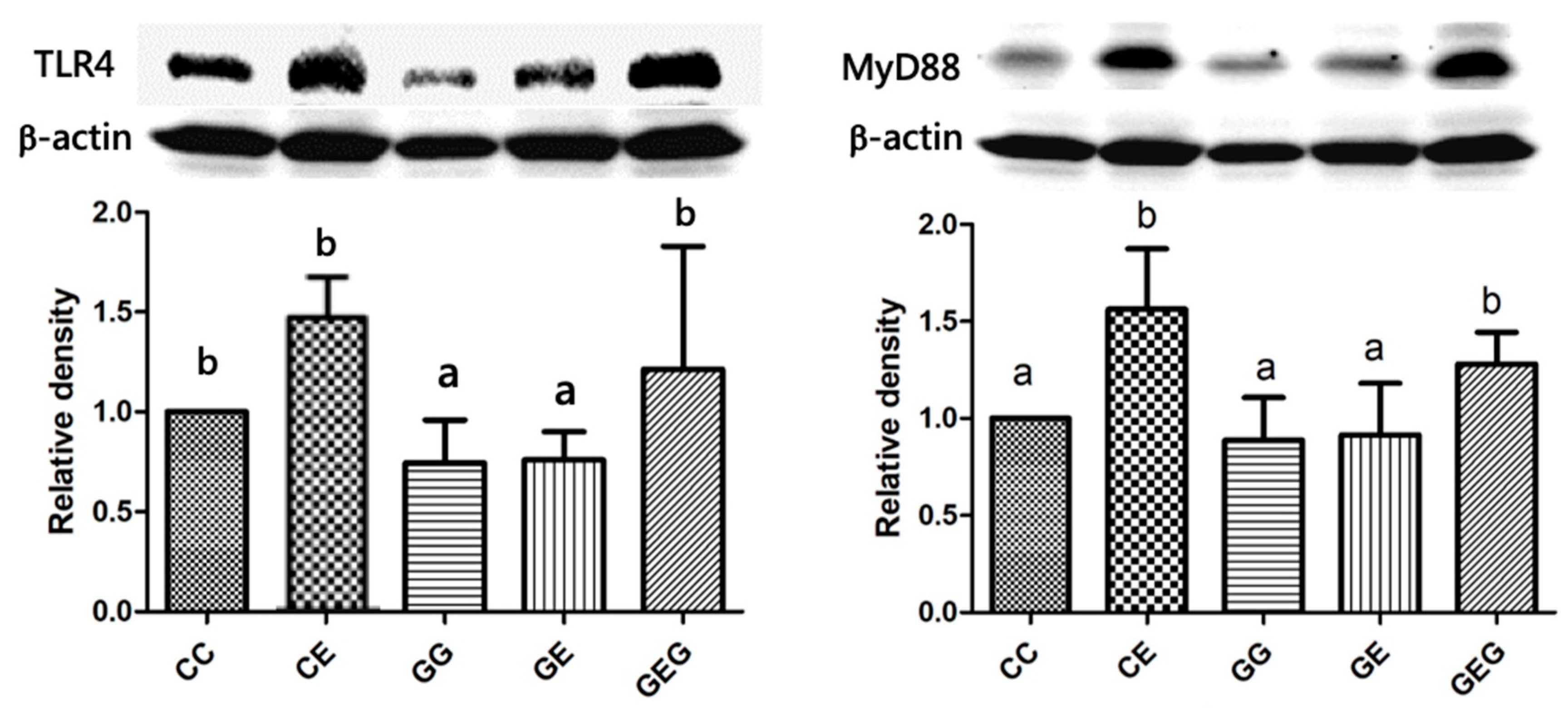 Nutrients 13 02788 g003 550