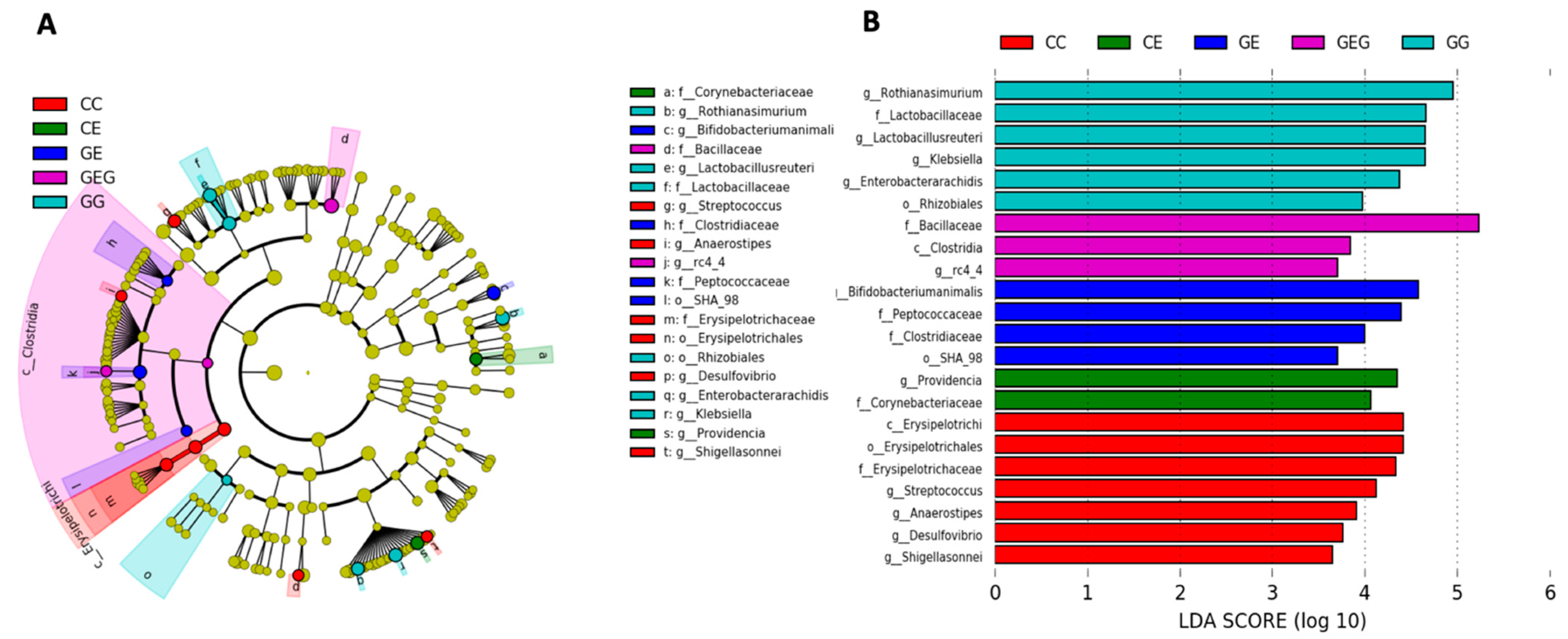 Nutrients 13 02788 g006 550