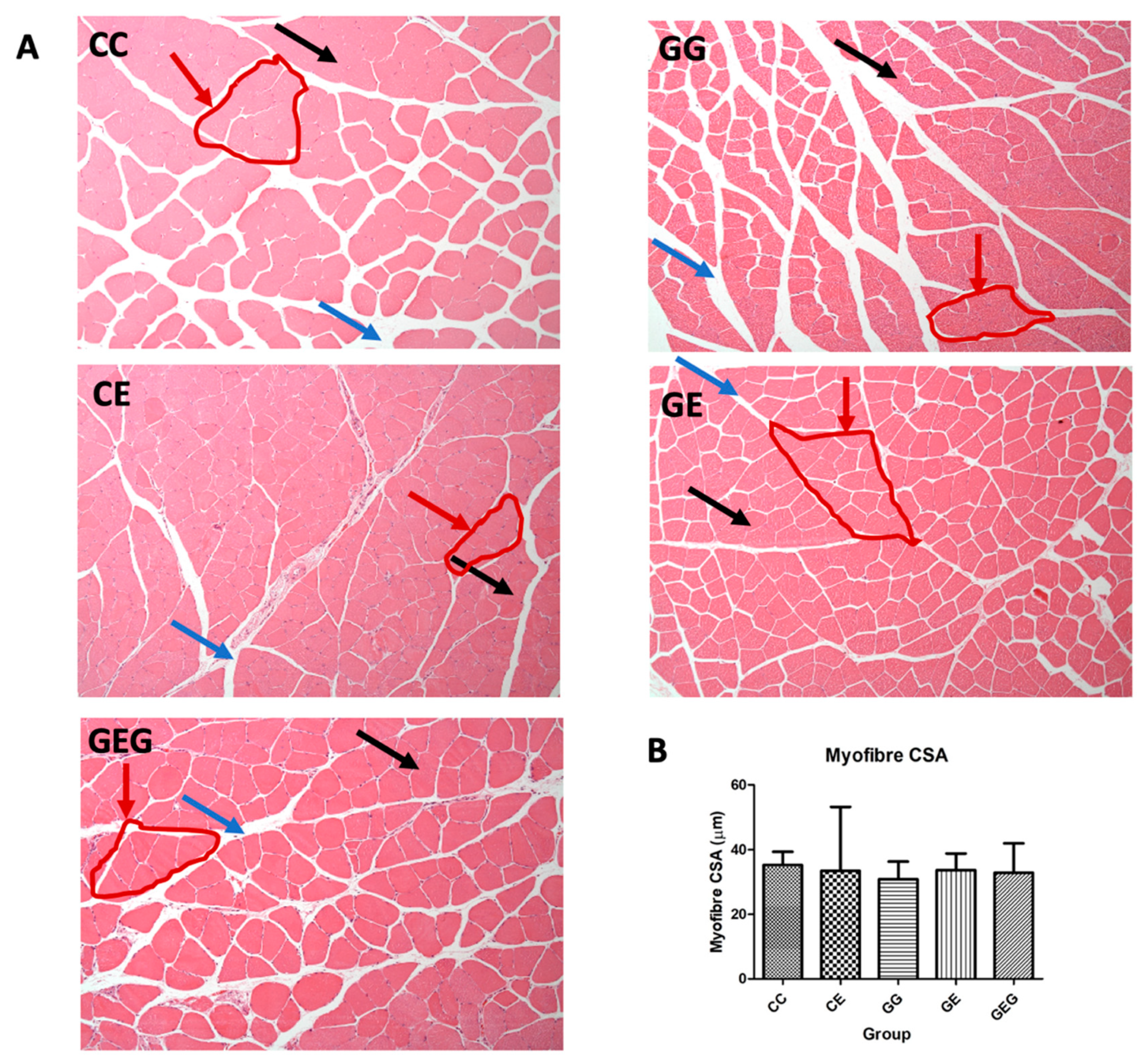 Nutrients 13 02788 g007 550