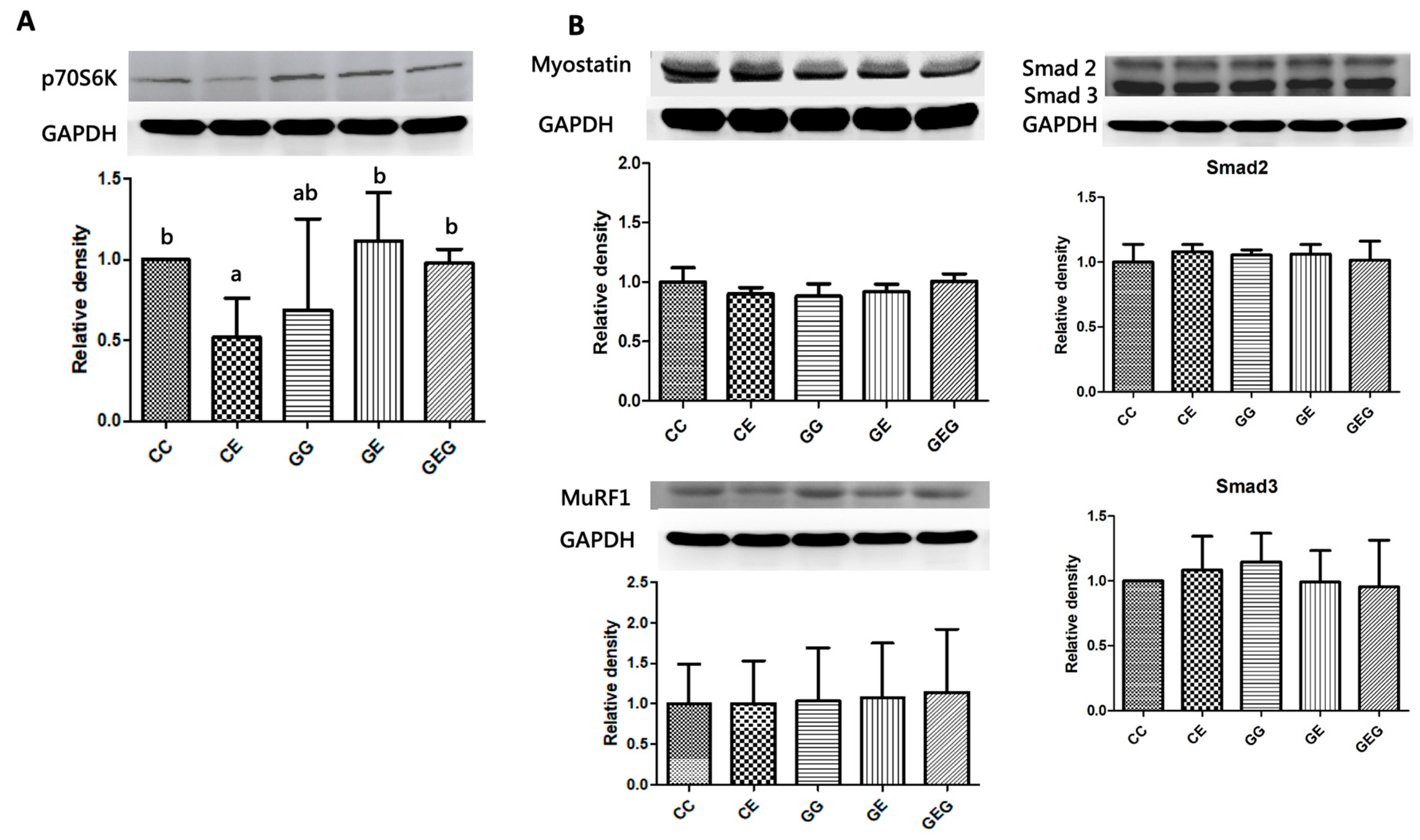 Nutrients 13 02788 g008 550
