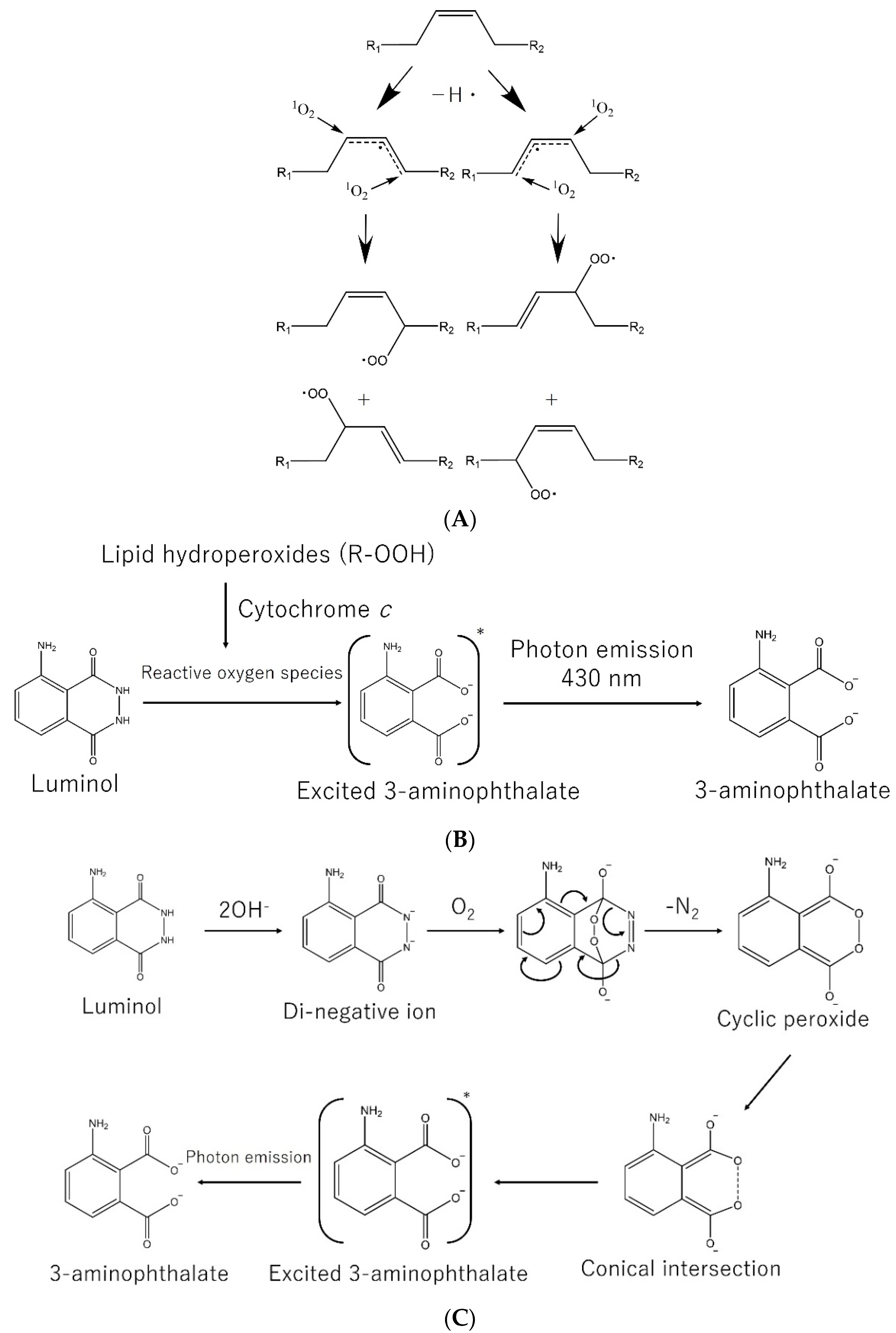 Nutrients 13 02804 g002