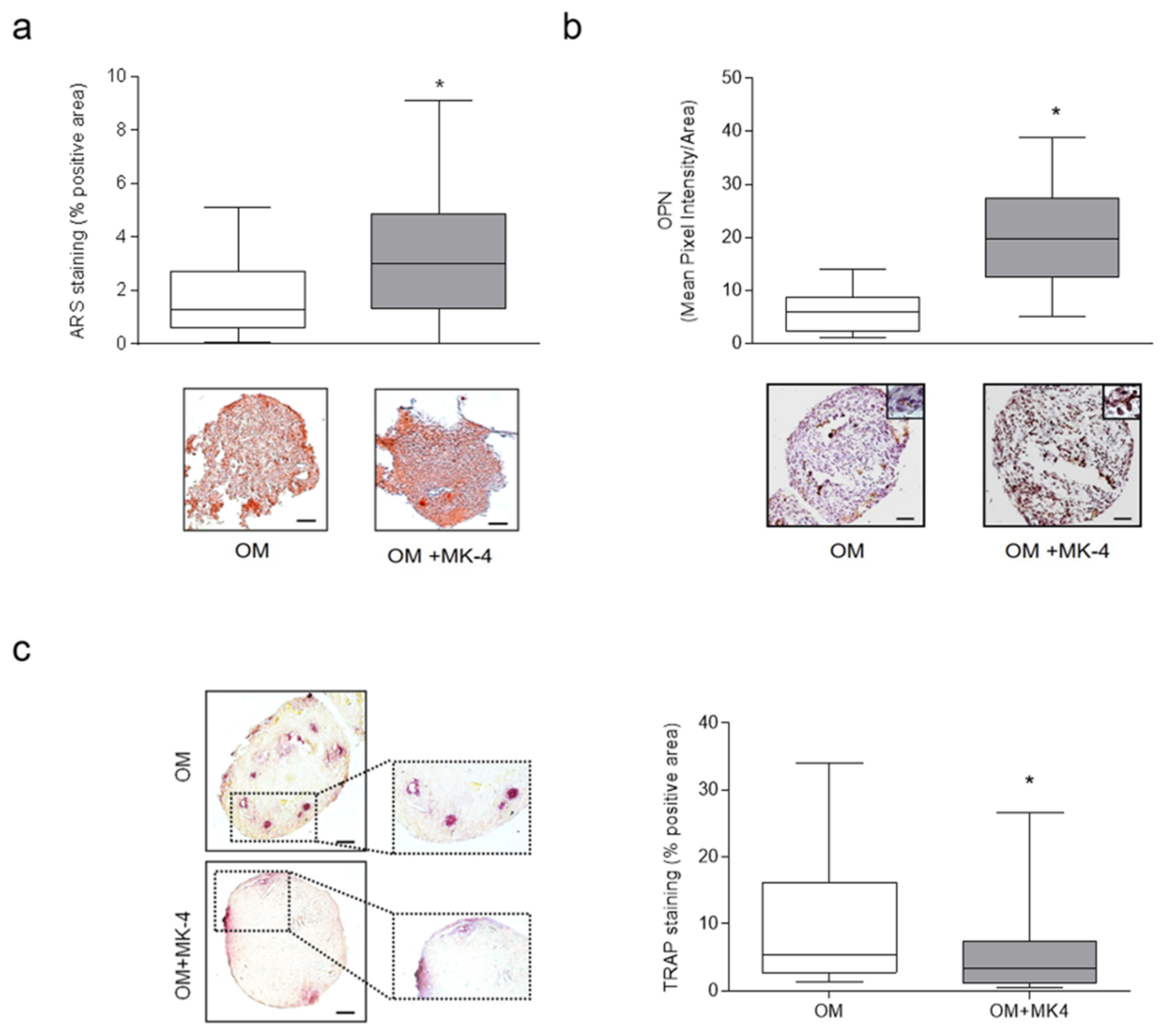 Nutrients 13 02823 g005 550