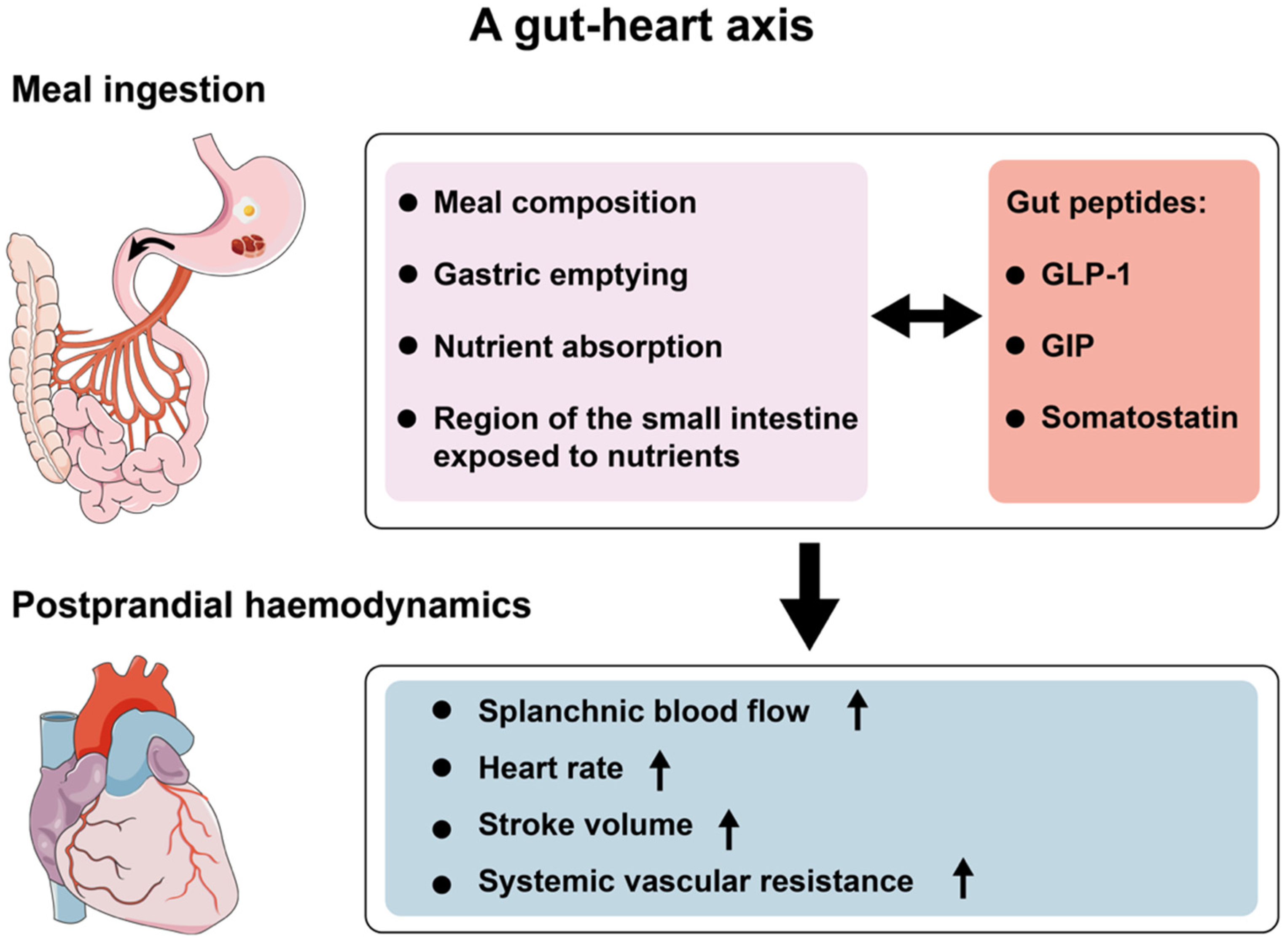 Nutrients 13 02826 g001