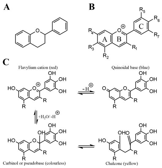 Nutrients 13 02831 g001 550