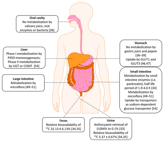 Nutrients 13 02831 g002 550