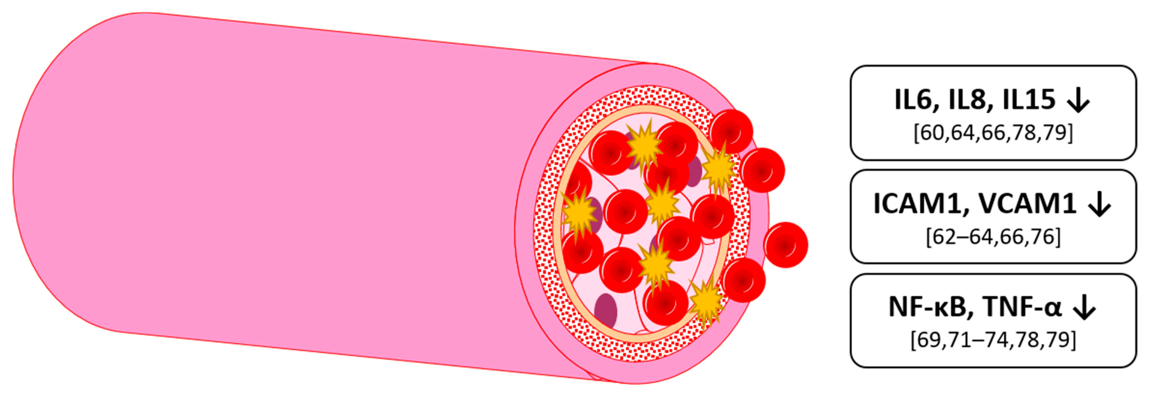 Nutrients 13 02831 g003