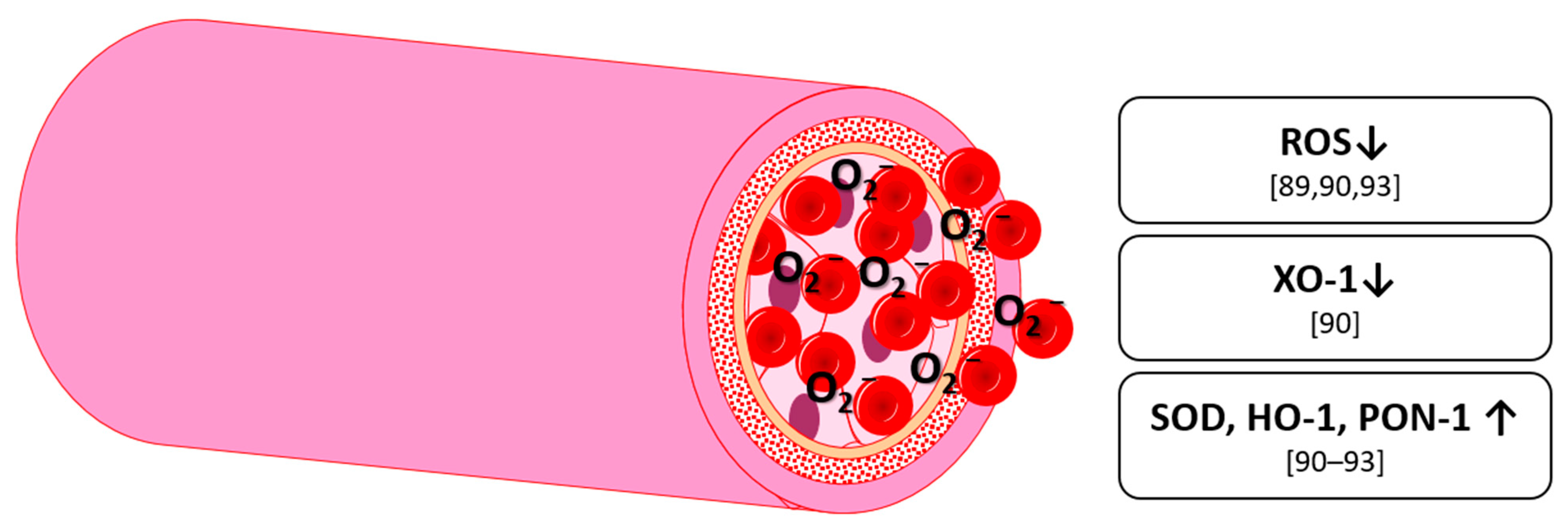Nutrients 13 02831 g004