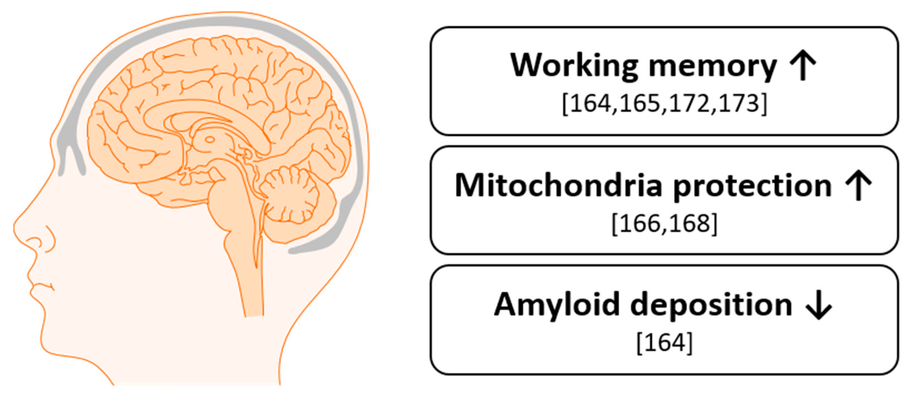 Anthocyanins and memory enhancement