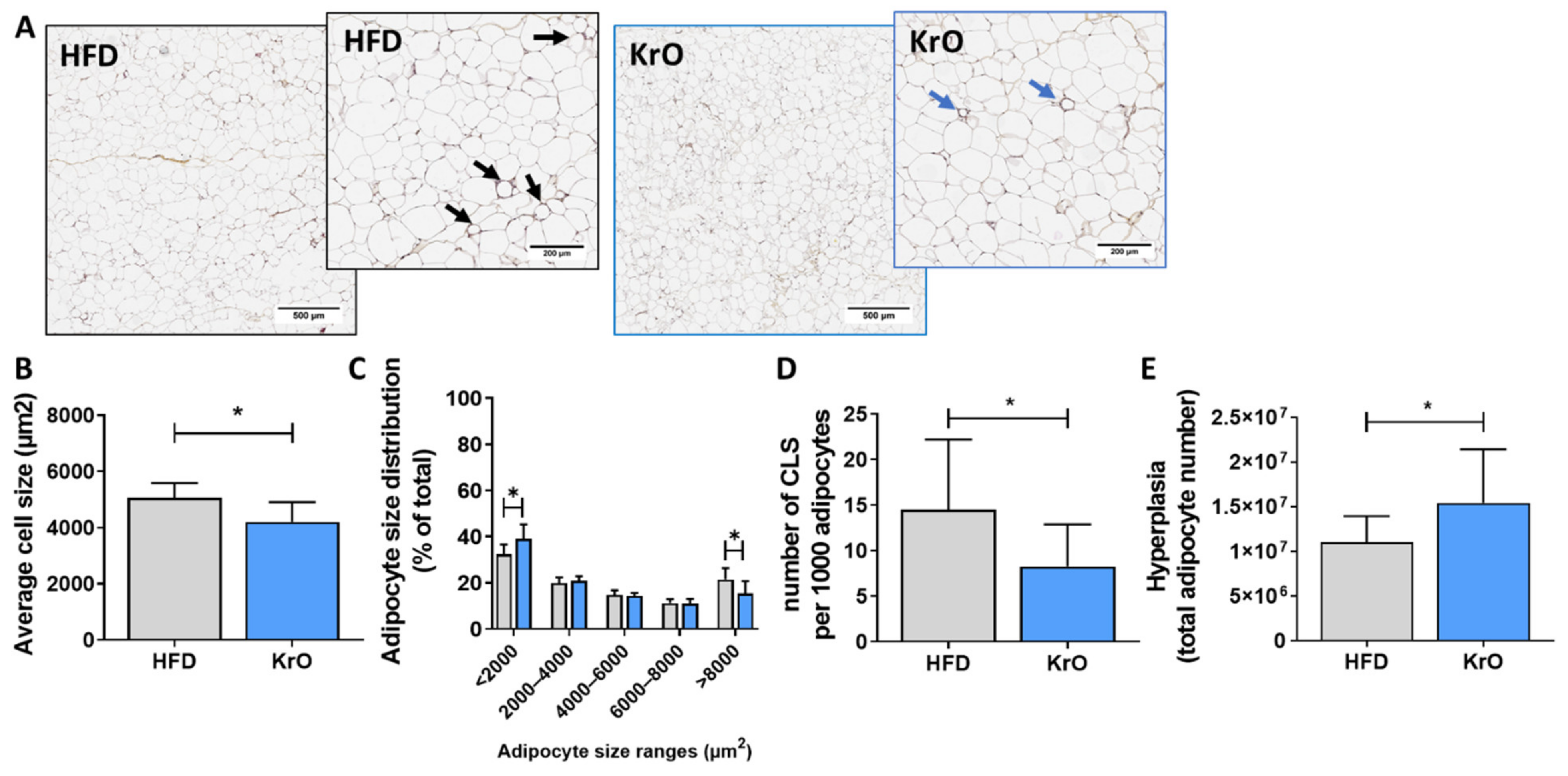 Nutrients 13 02836 g001 550