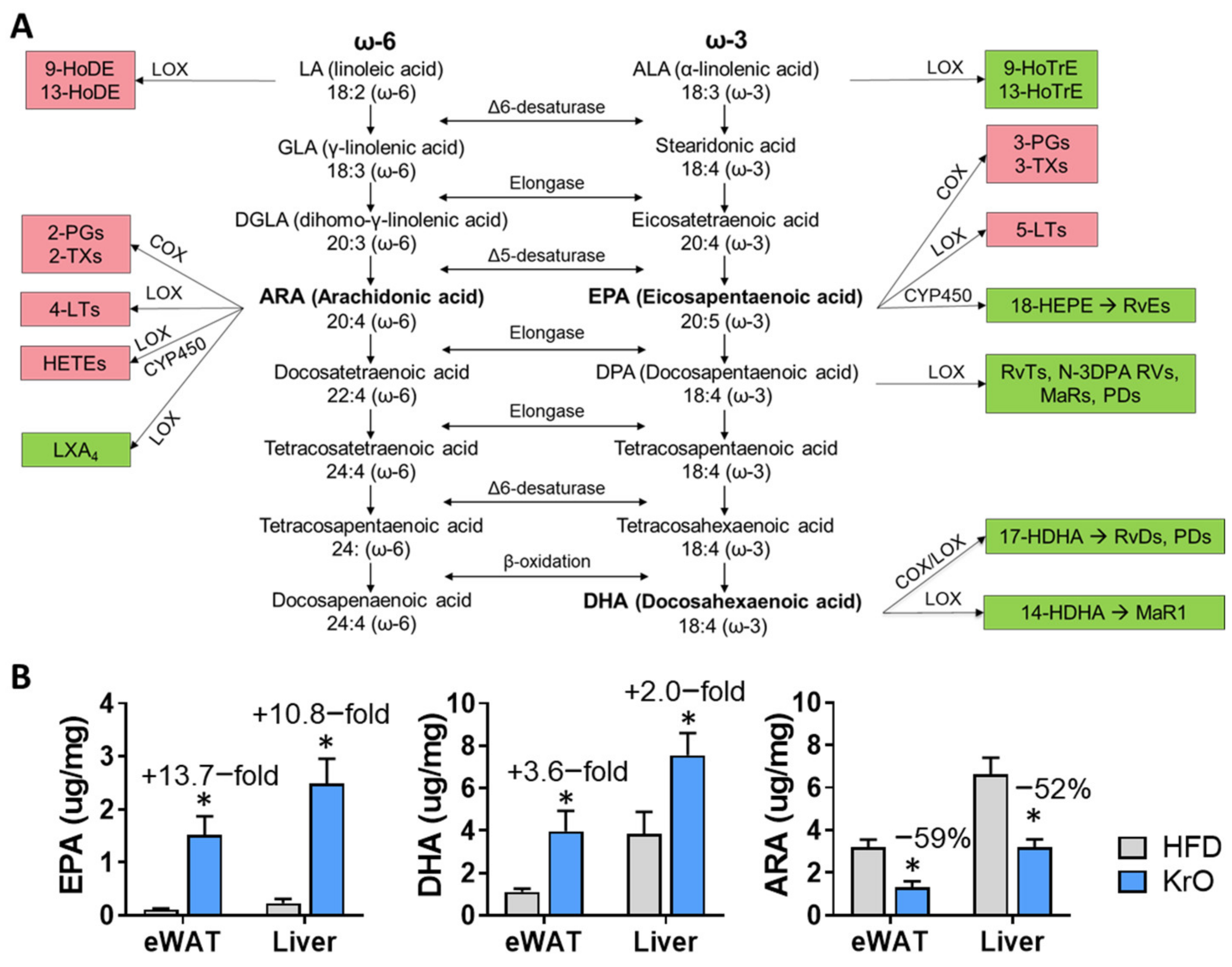 Nutrients 13 02836 g002 550