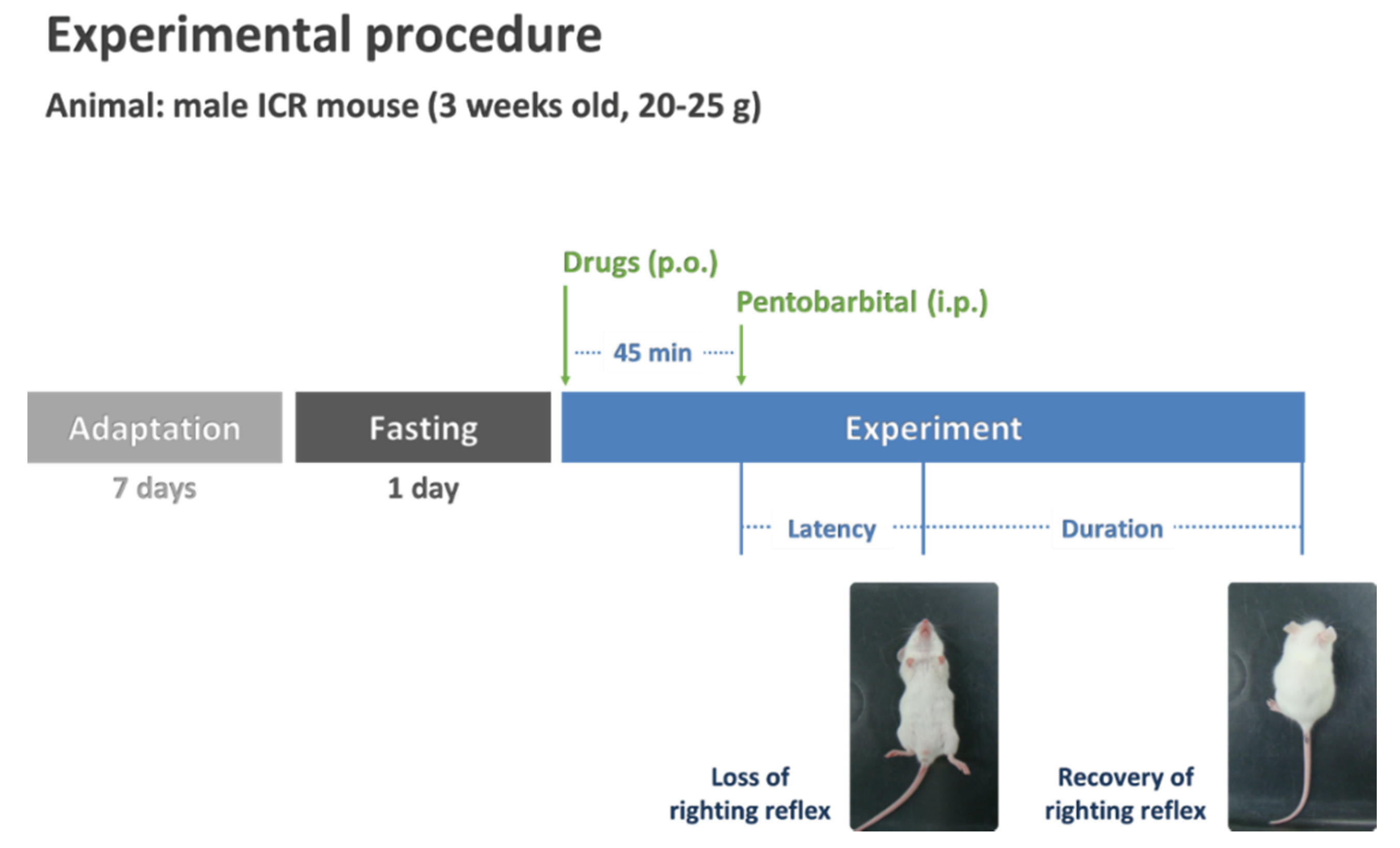 Nutrients 13 02845 g001 550