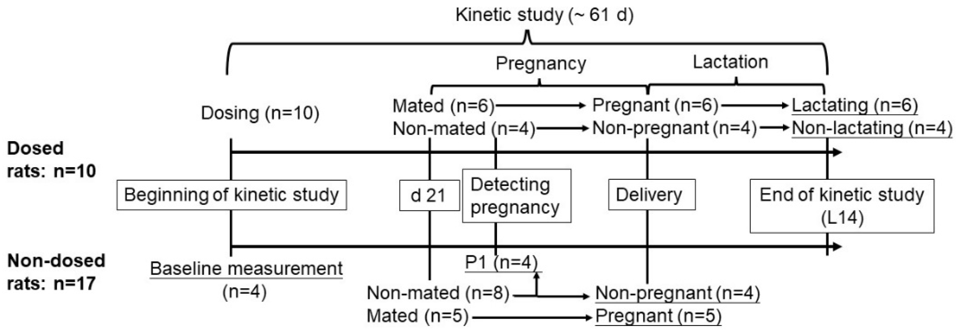 Nutrients 13 02853 g001 Nutrients 13 02853 g001