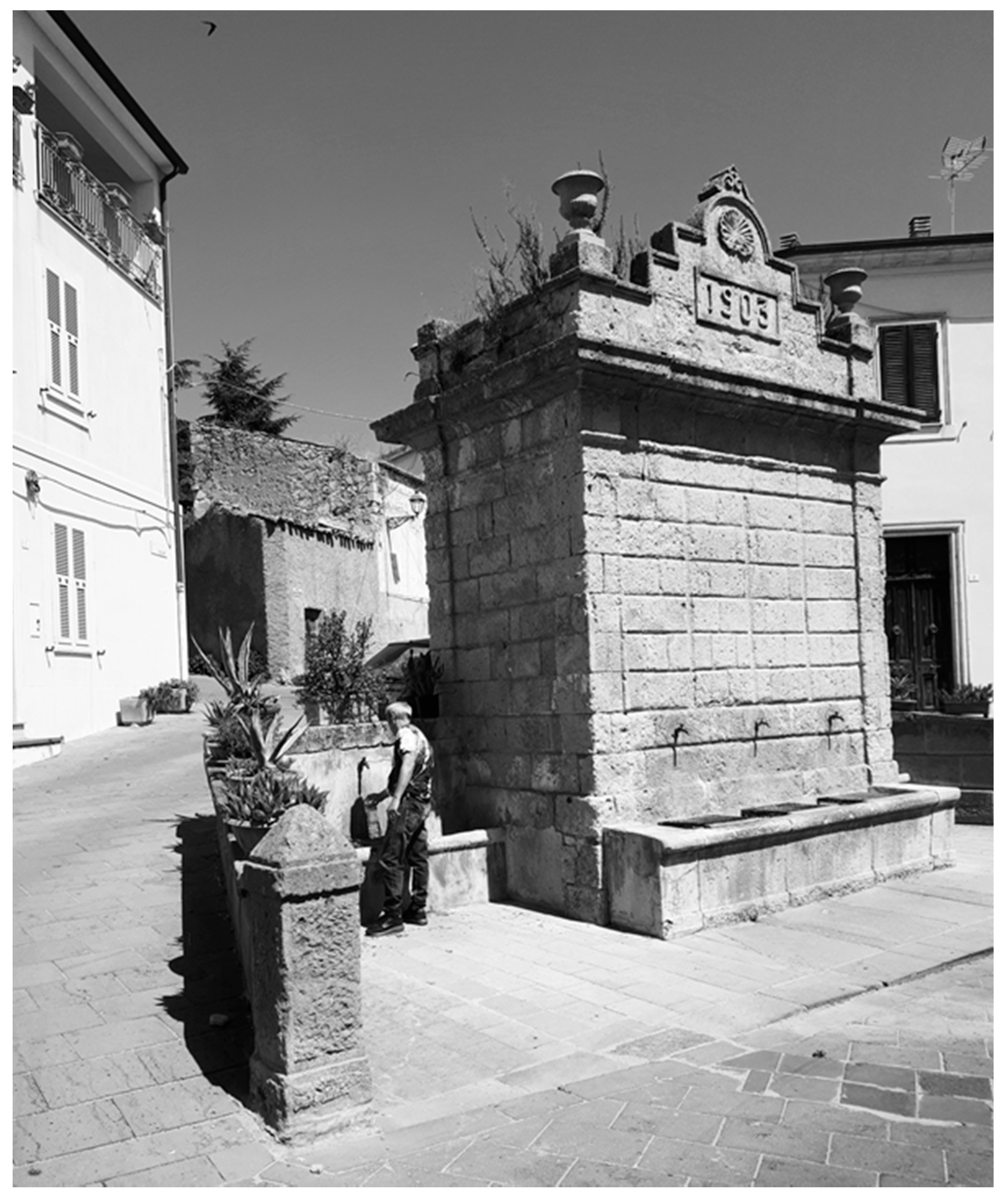 Nutrients 13 02858 g001 Nutrients 13 02858 g001