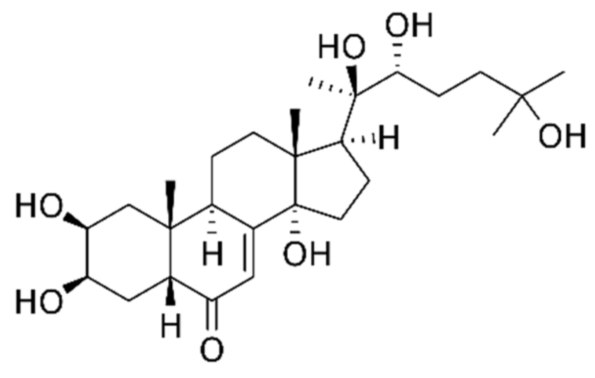 Nutrients 13 02861 g003