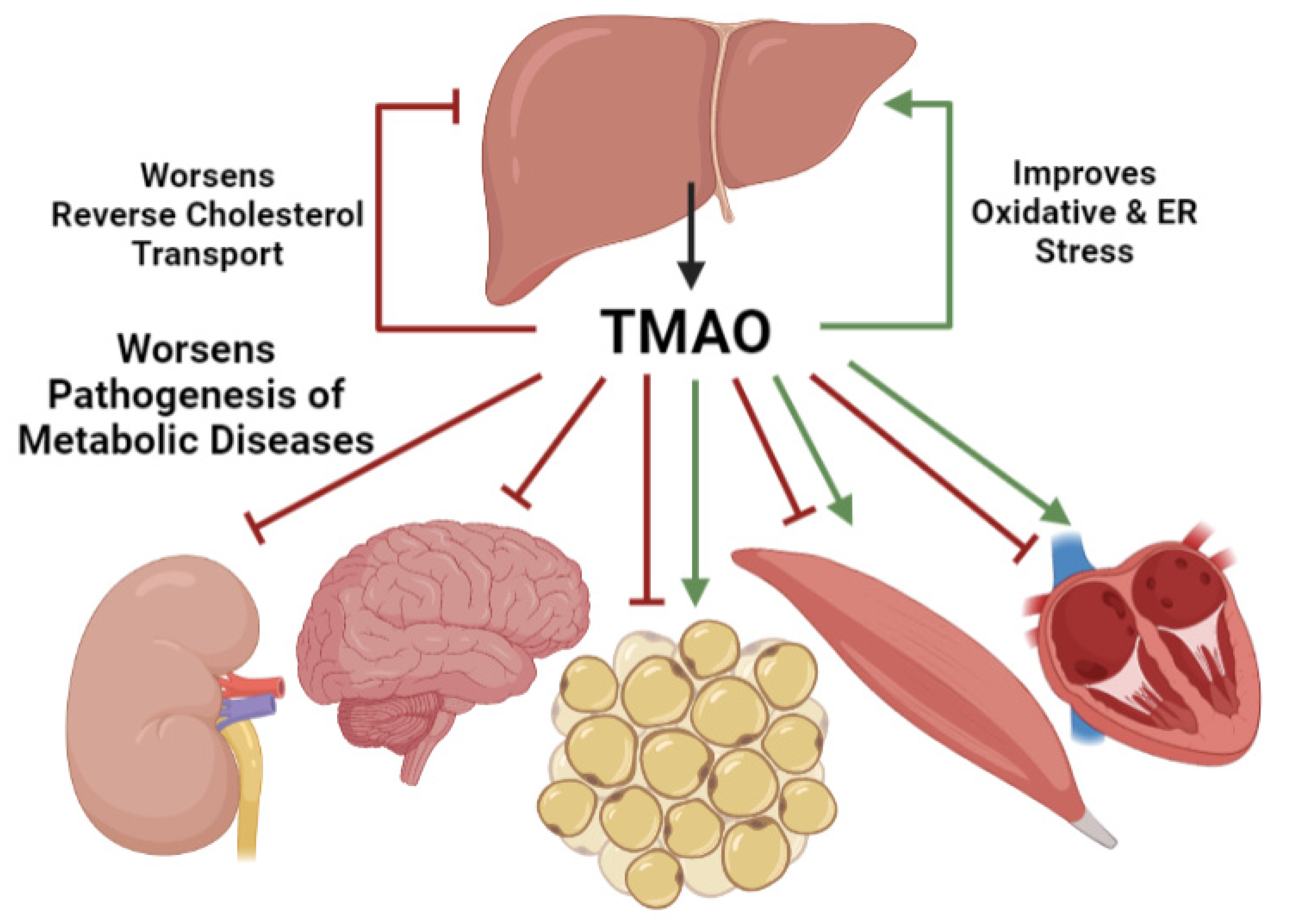Nutrients 13 02873 g002 550